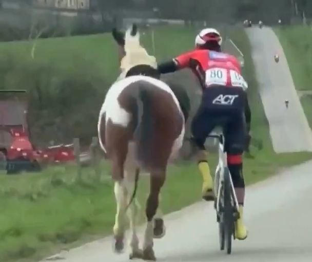 Le coureur Lars Daniels a maîtrisé un cheval qui courrait à côté du peloton lors d'une course en Belgique. (Capture d'écran/Twitter @LeGruppetto.)