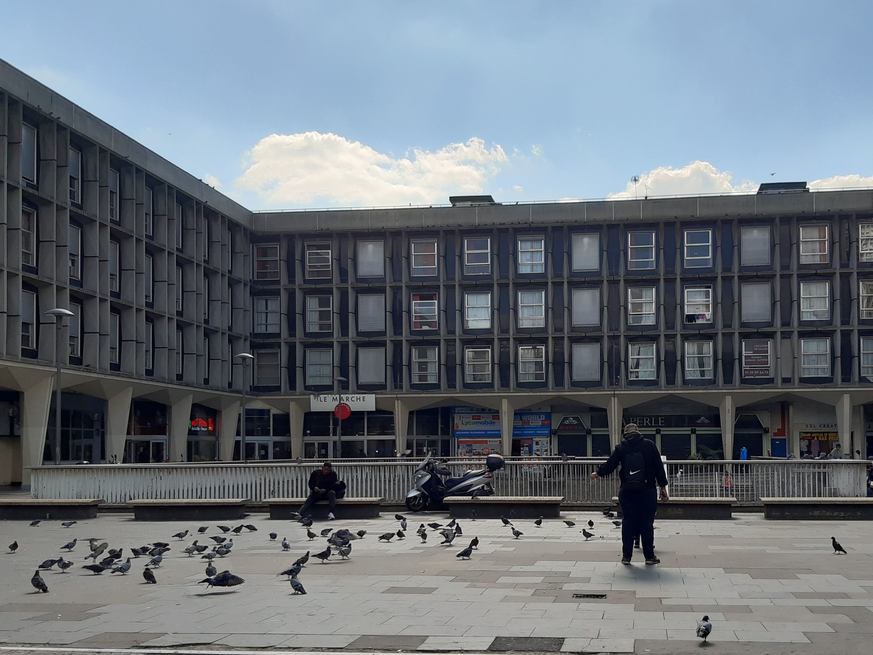 Sarcelles. Pour réguler la population de pigeons, la commune a installé des pièges sur le toit du centre commercial Les Flanades. Une fois capturés, les oiseaux sont gazés. Une méthode que dénonce l'association PAZ. LP/Véronique Beaugrand