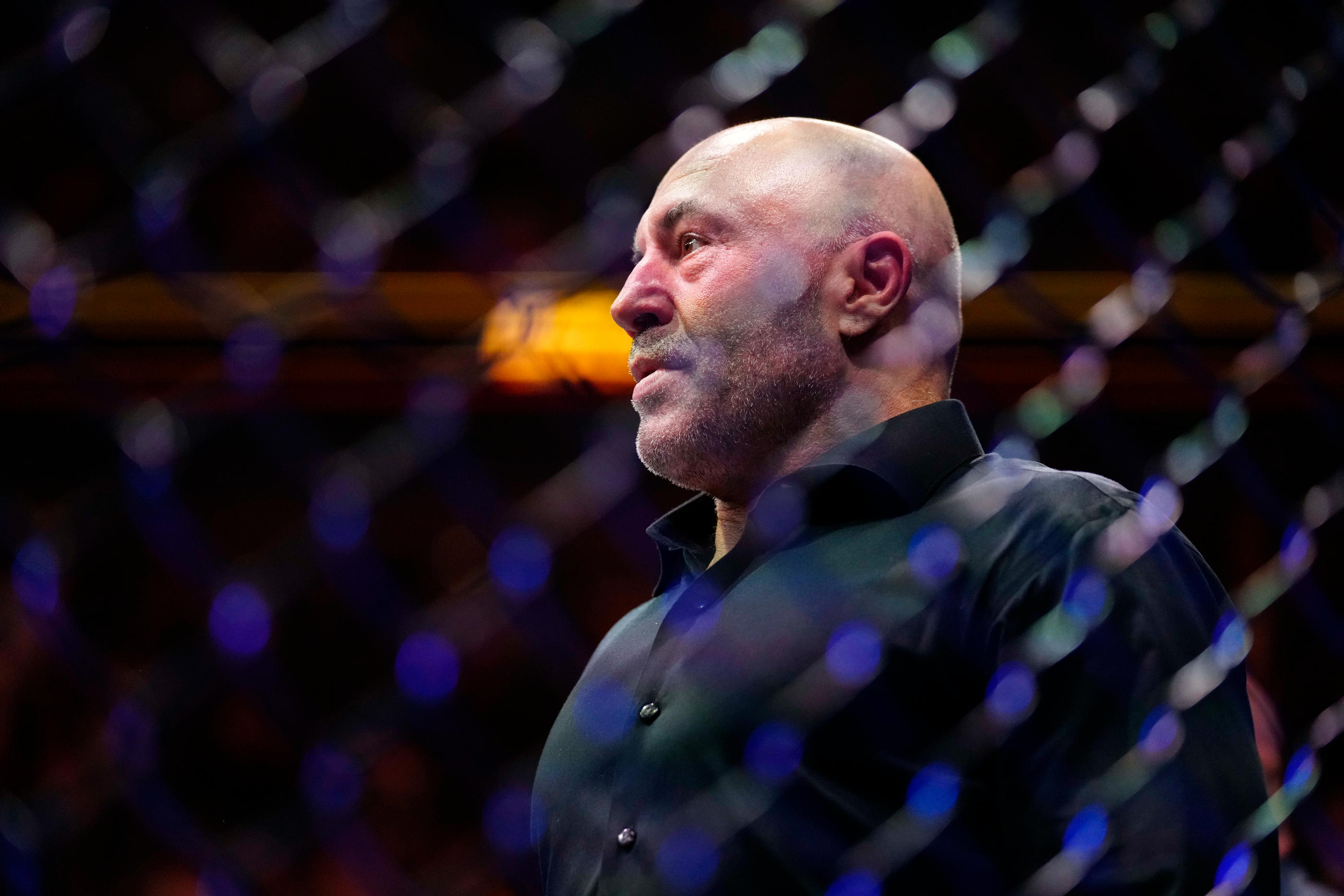 Président de l'UFC, Dana White a créé un "bonus morsure" à l'issue du combat. (Rich Storry/Icon Sport)