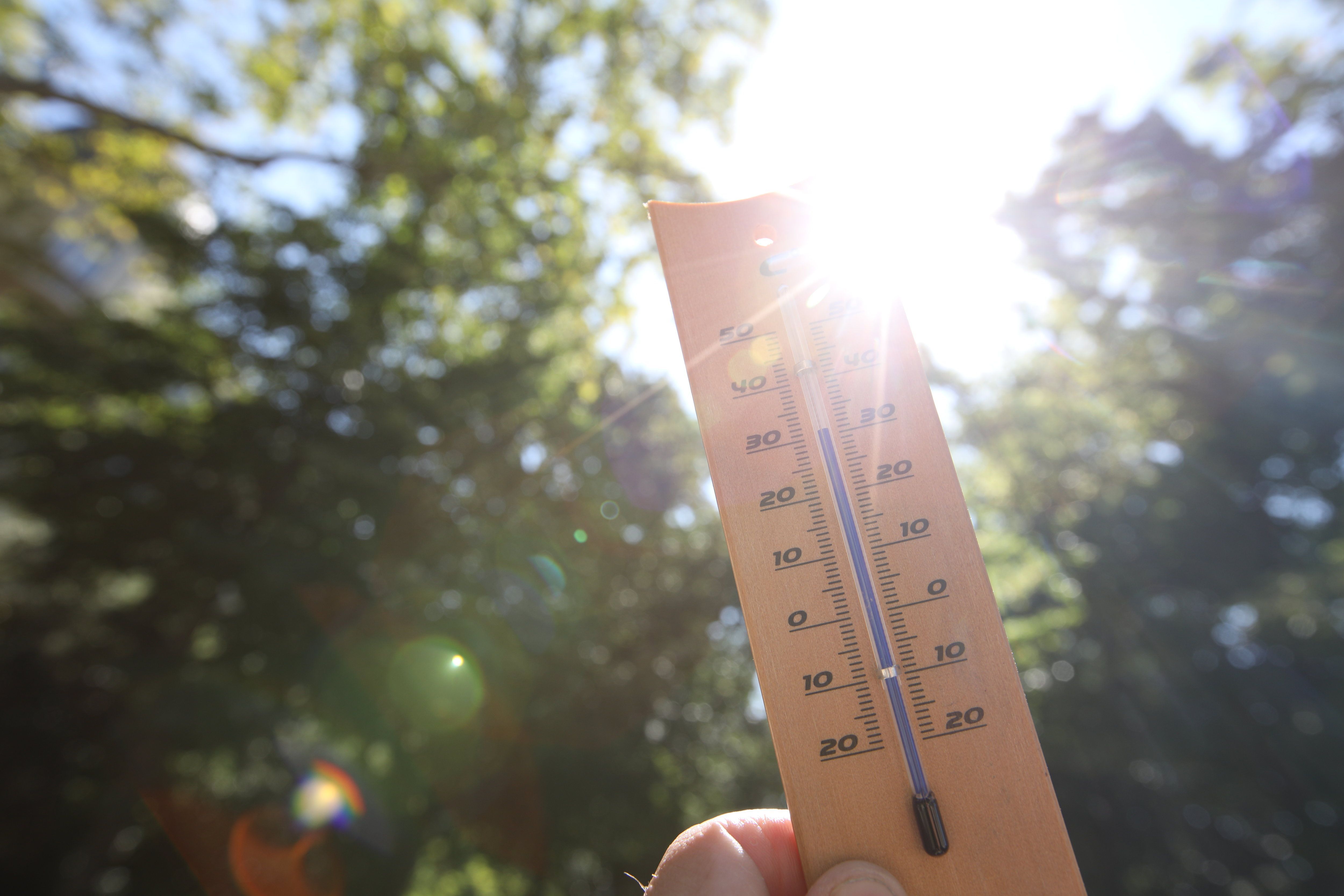 Soldes Thermometre Ancien - Nos bonnes affaires de janvier