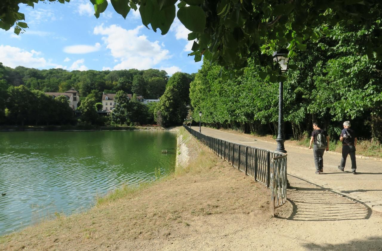 <b></b> Ville-d’Avray, juillet 2020. Les digues des étangs de Corot vont être transformées en barrages, ce qui implique la coupe de sept tilleuls centenaires.