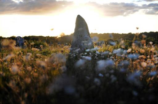 Un mégalithe à Carnac, dans le Morbihan, où l'on en trouve près de 4000, le 29 juillet 2015 (Archives). AFP/Fred Tanneau