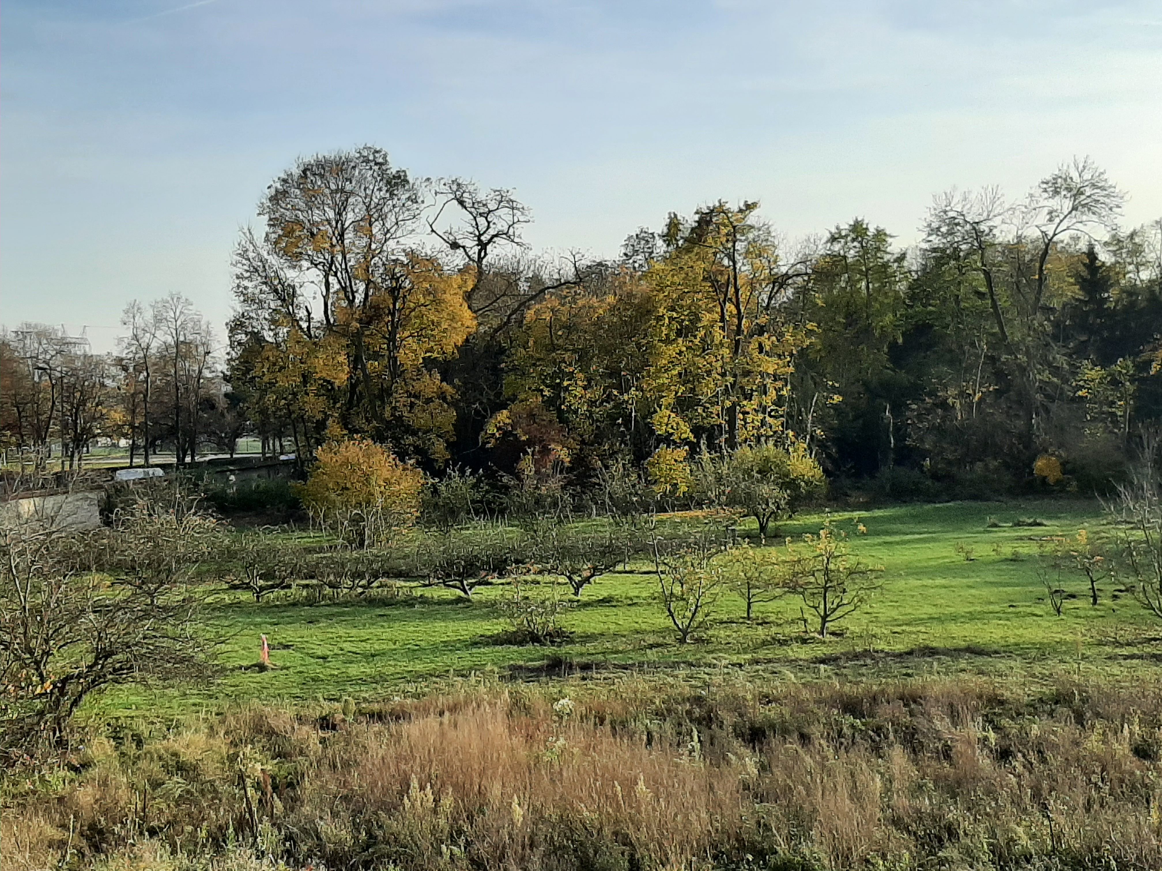 Thiais, le 18 novembre 2021. Un projet immobilier de 38 appartements et 6 maisons est prévu sur une partie du parc boisé du monastère de l'Annonciade, que les sœurs ont dû vendre à un promoteur. LP/Marine Legrand