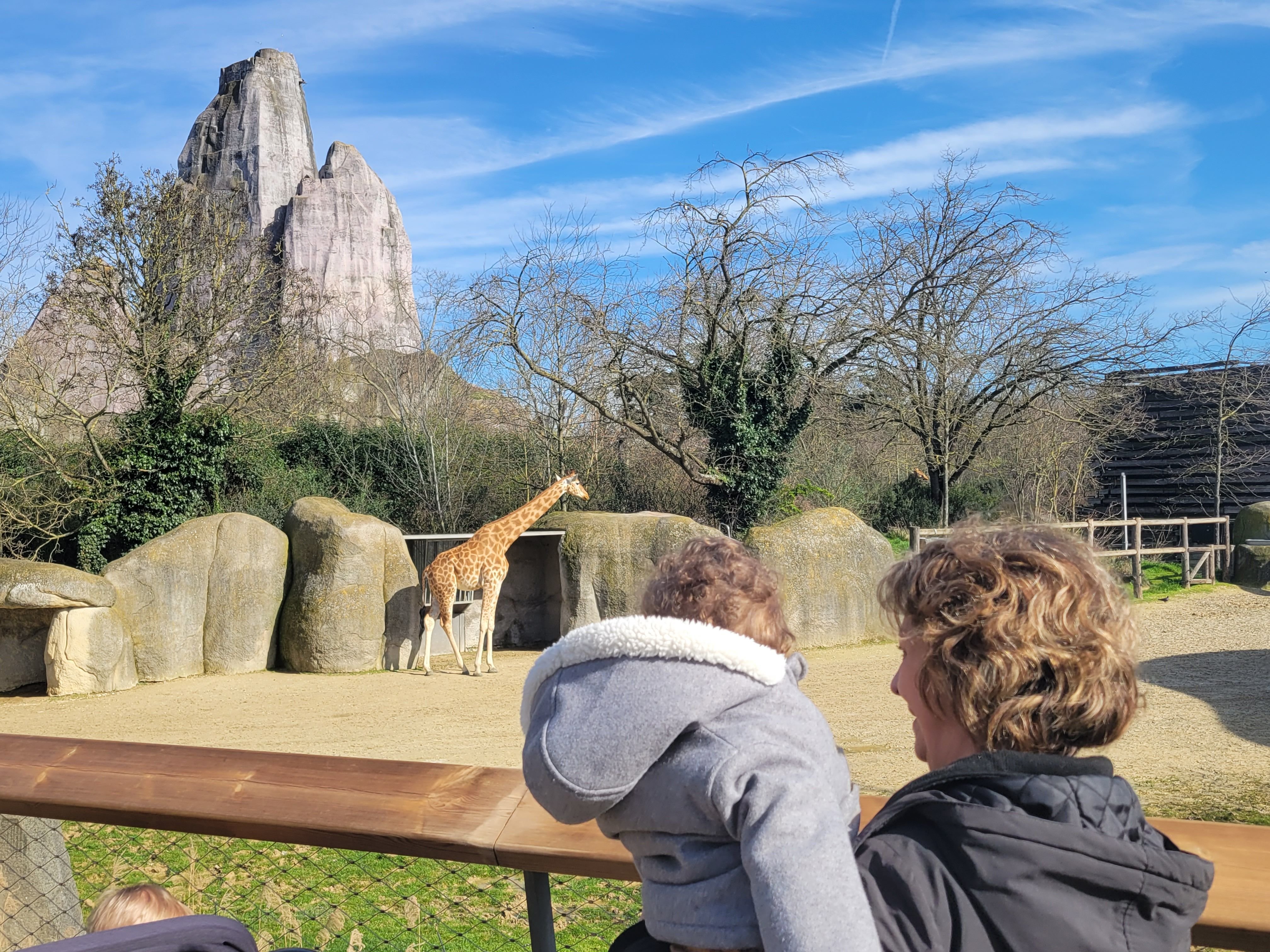 Zoo de Vincennes (Paris XIIe), jeudi 14 mars 2024. Depuis sa réouverture en 2014, le site a accueilli 6,6 millions de visiteurs le plaçant sur le podium des zoos les plus visités de France. LP/J.L.