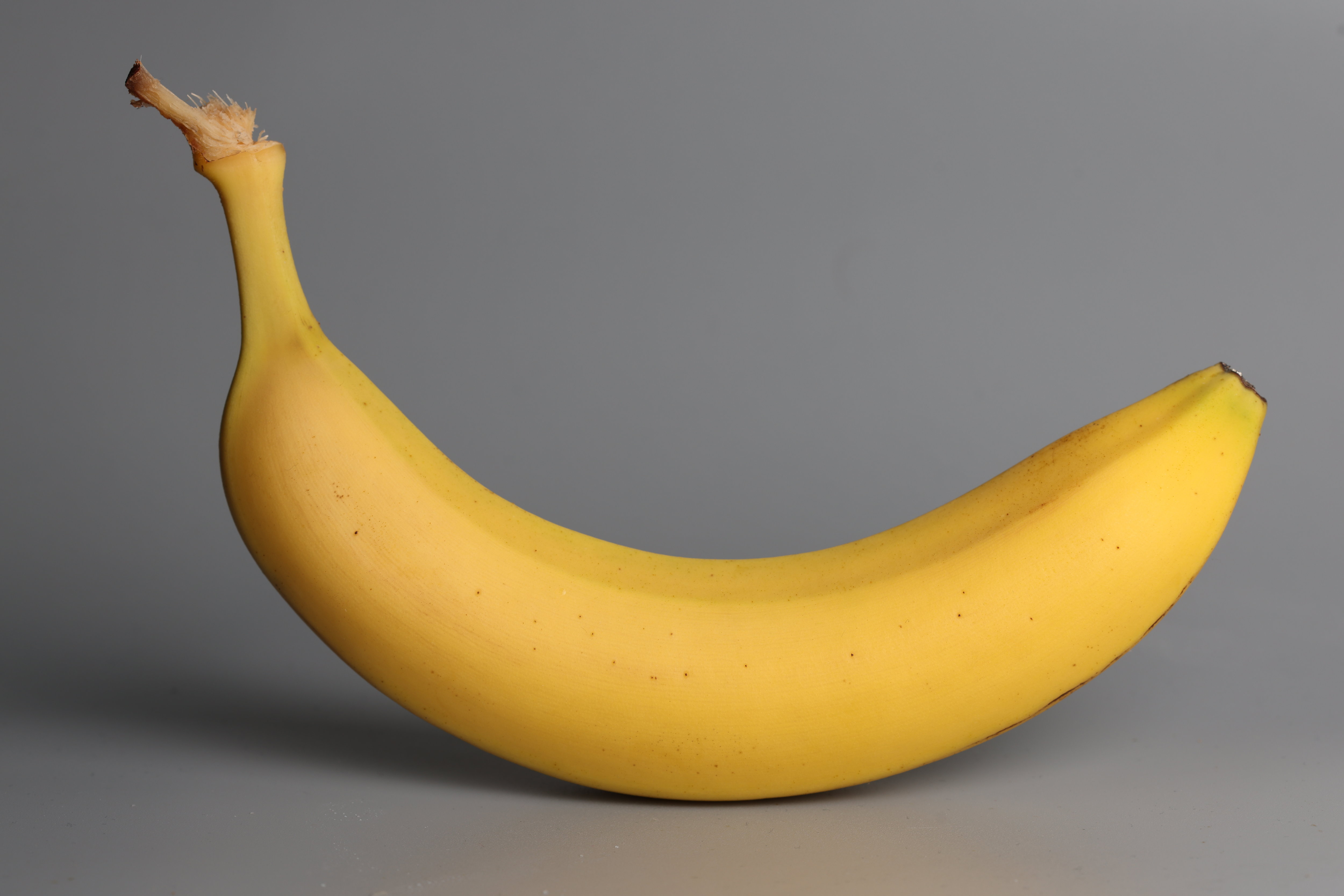 La banane Cavendish va-t-elle disparaître ? LP / Arnaud Journois