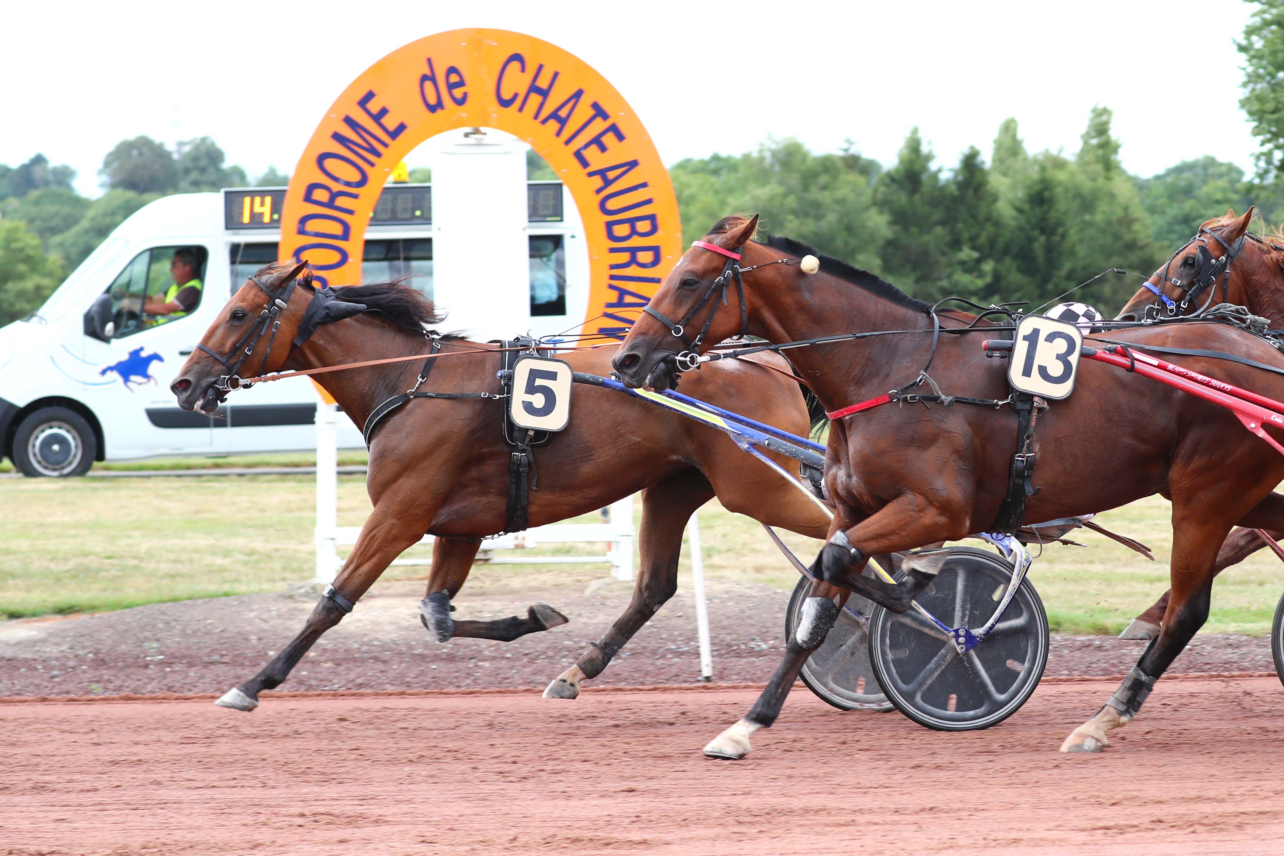 Châteaubriant (Loire-Atlantique), le  11 Juillet 2023. Hamandina (n°5) remporte le deuxième quinté de sa carrière. SCOOPDYGA - LABROSSE Brad