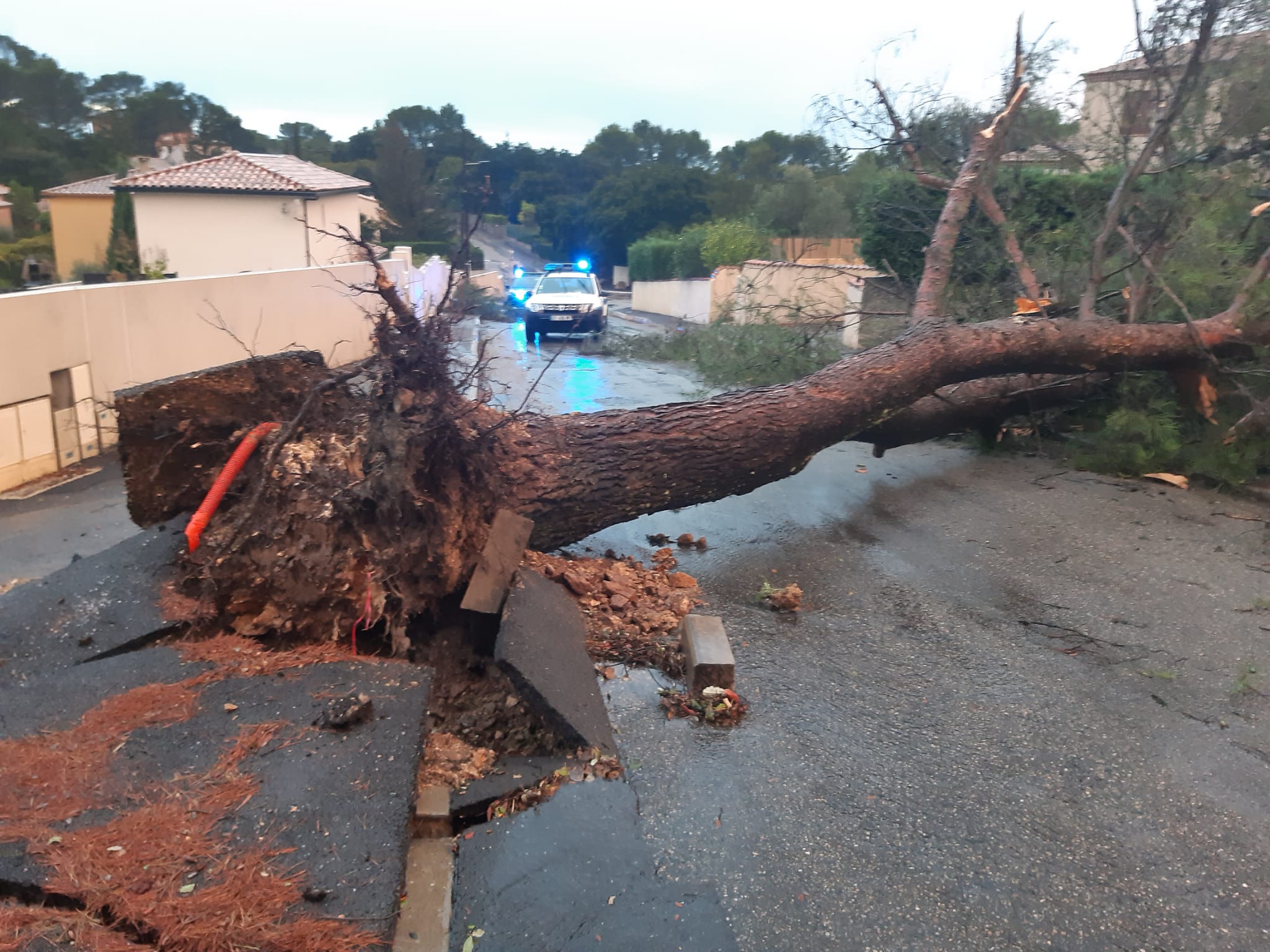 La tornade a notamment déraciné des arbres. Facebook/Commune de POULX Officiel
