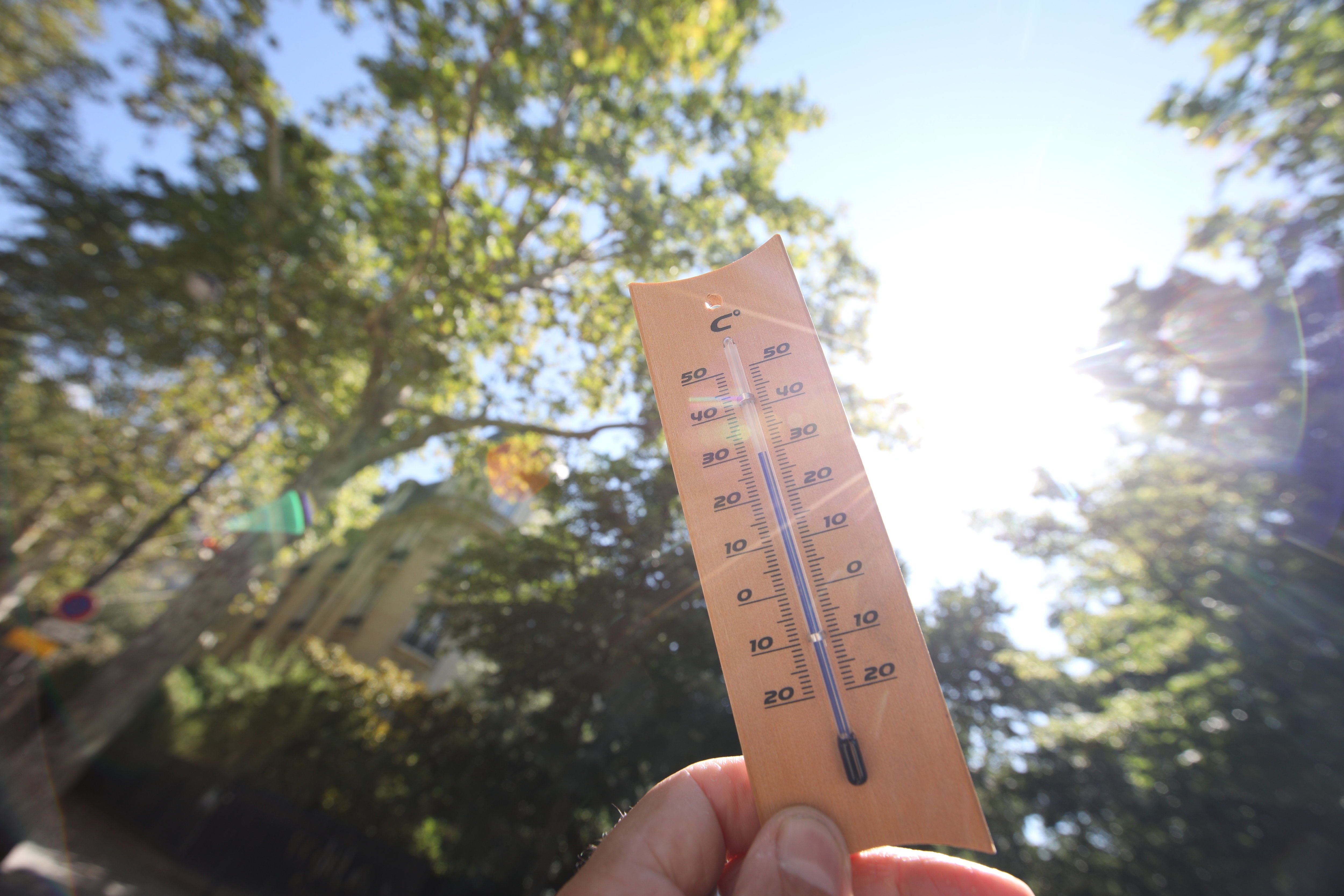 L'indicateur thermique national était jeudi de 27,8 °C, battant pour le 4e jour d'affilée le record pour cette période de l'année (illustration). LP/Olivier Lejeune