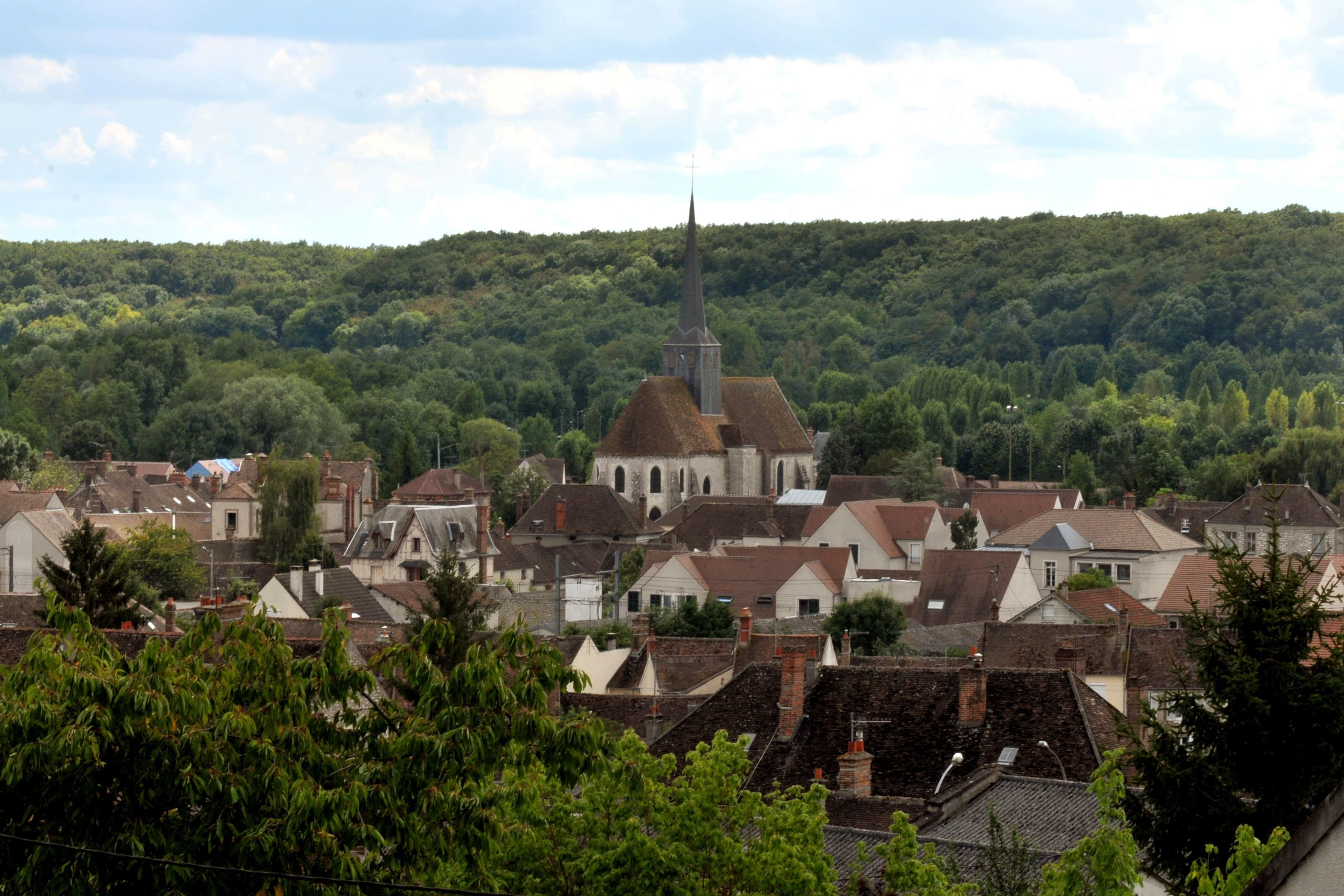 Des humains et des arbres