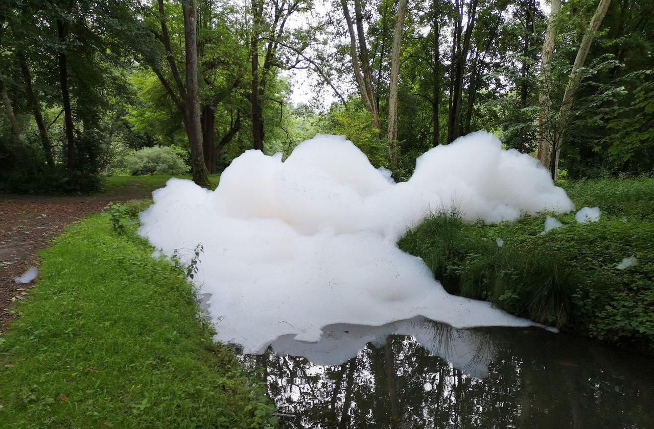 <b></b> Crépy-en-Valois. En juin 2019, un entrepreneur avait déversé 2000 litres de shampooing dans les eaux du parc de Géresme.