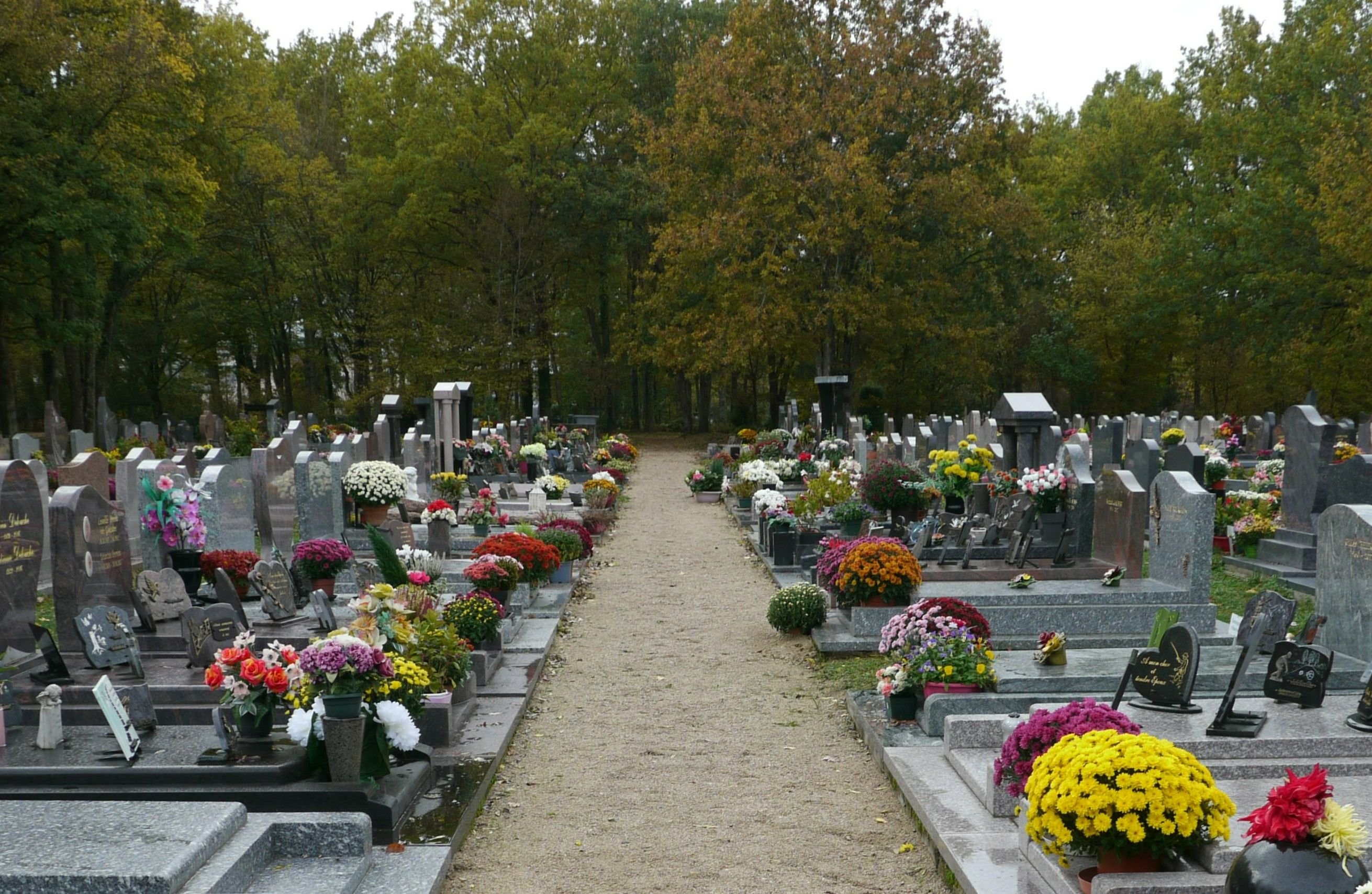 Les pompes funèbres Caton d'Orléans ont constitué une équipe de six médecins retraités volontaires pour établir des déclarations de décès dans l'est du Loiret. LP/Elodie Cerqueira