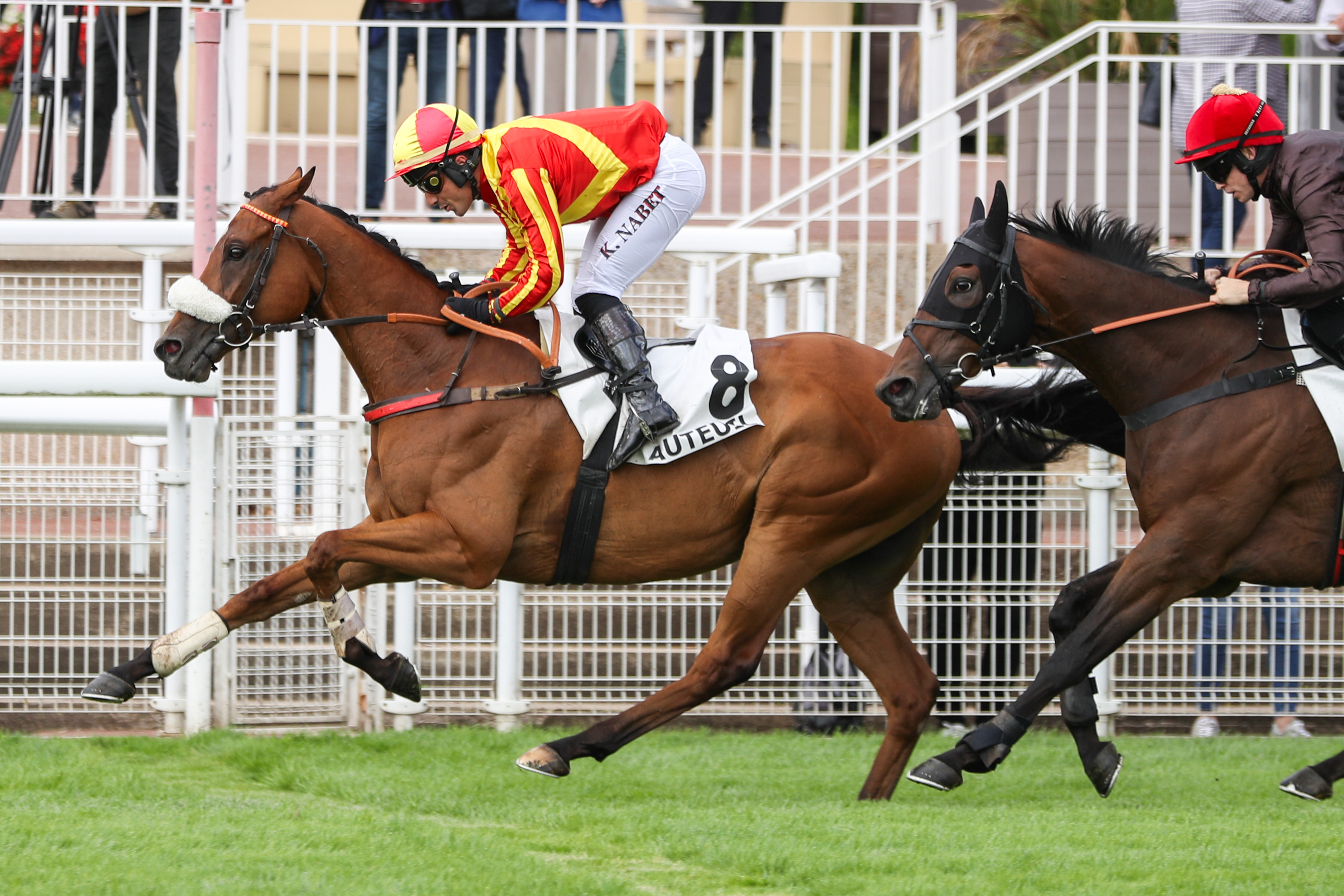 Auteuil (XVIe), le 10 Septembre 2024. Rock And Roll ouvre son palmarès dans les quintés pour sa treizième tentative. SCOOPDYGA - FLAMENT P. H.