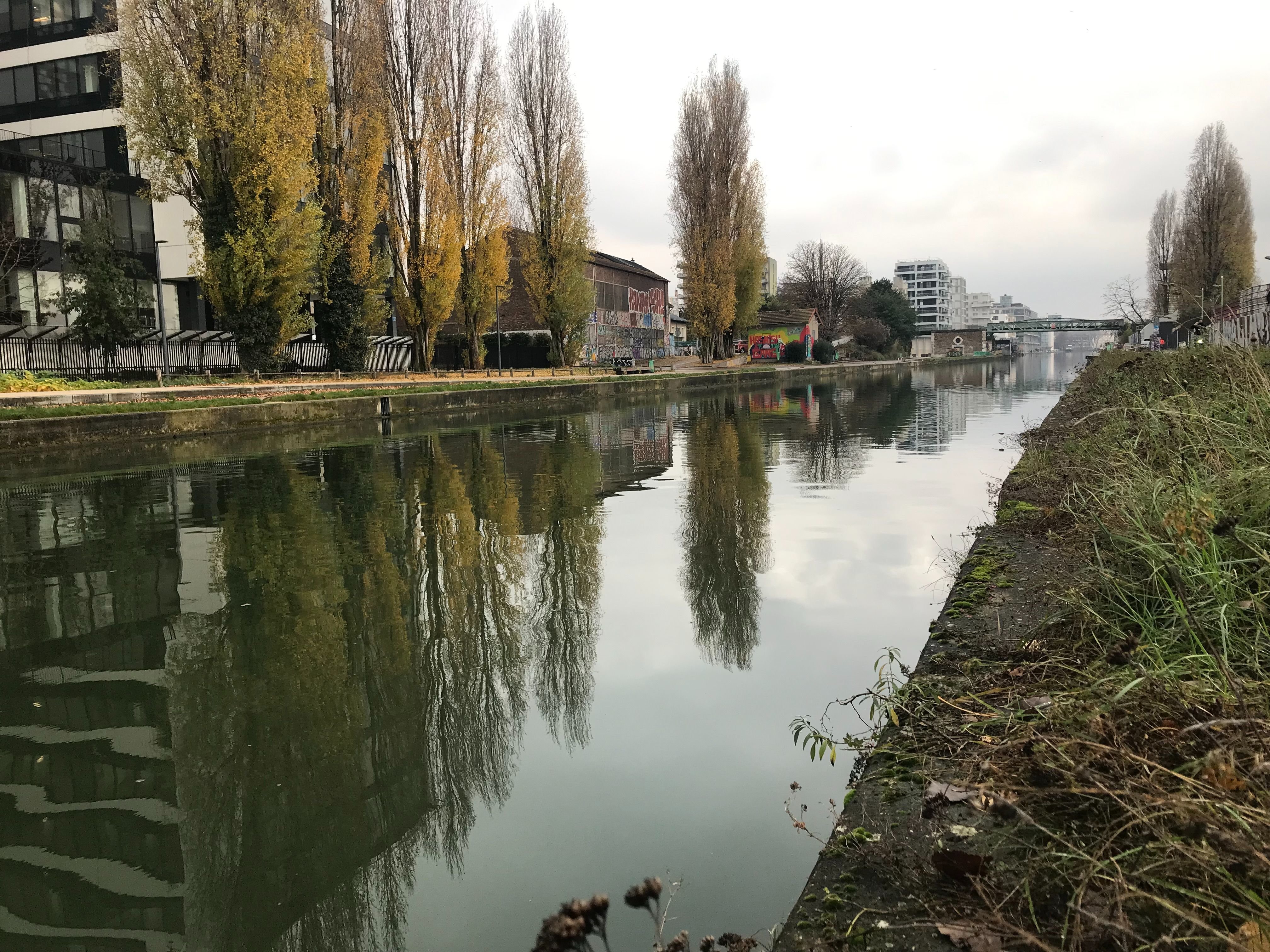 Bobigny, lundi 5 décembre. Des mouettes ont été retrouvées mortes le 3 décembre le long du canal de l'Ourcq. LP/H.H.