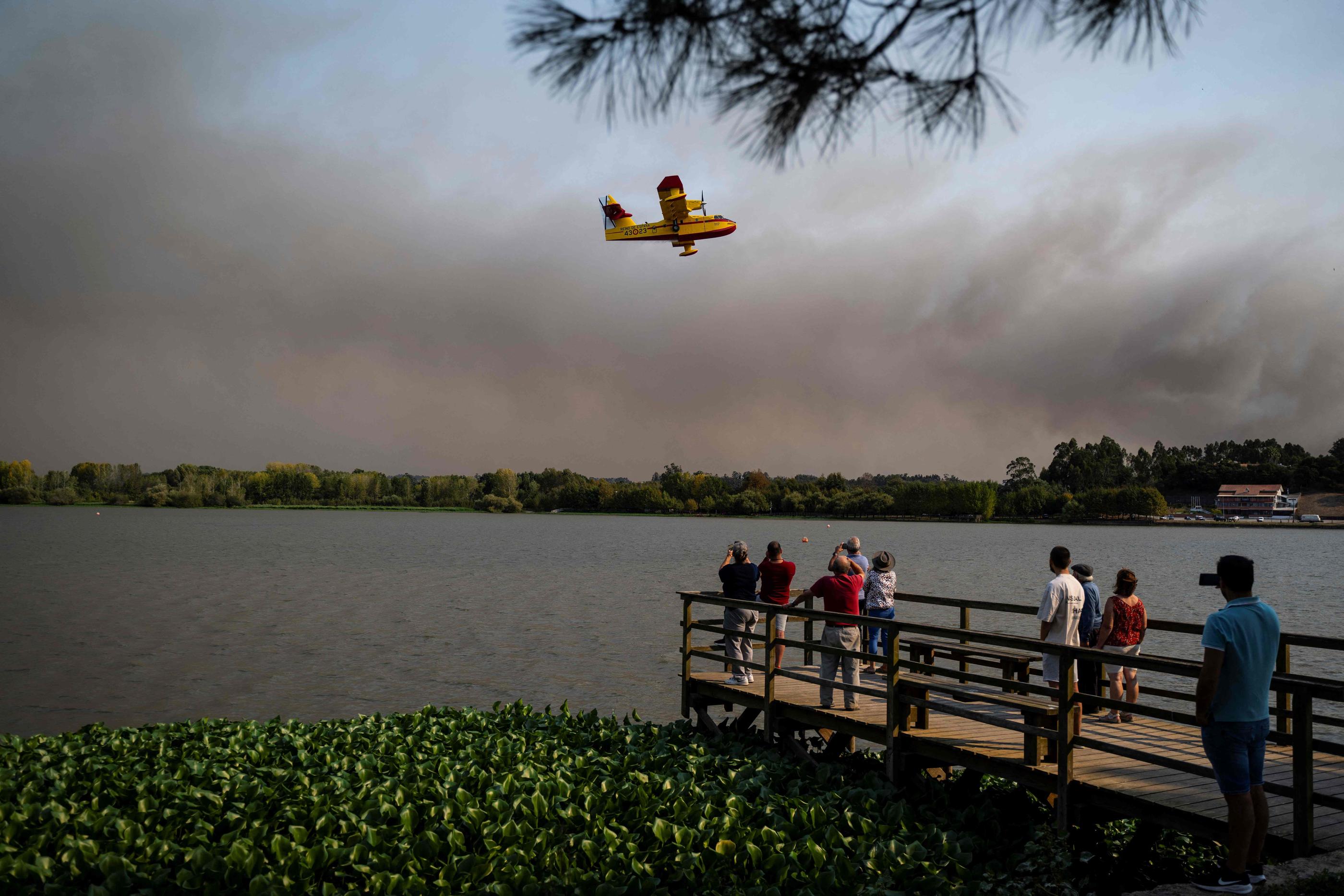 De violents feux de forêt font rage depuis ce week-end au Portugal. AFP / Patricia DE MELO MOREIRA