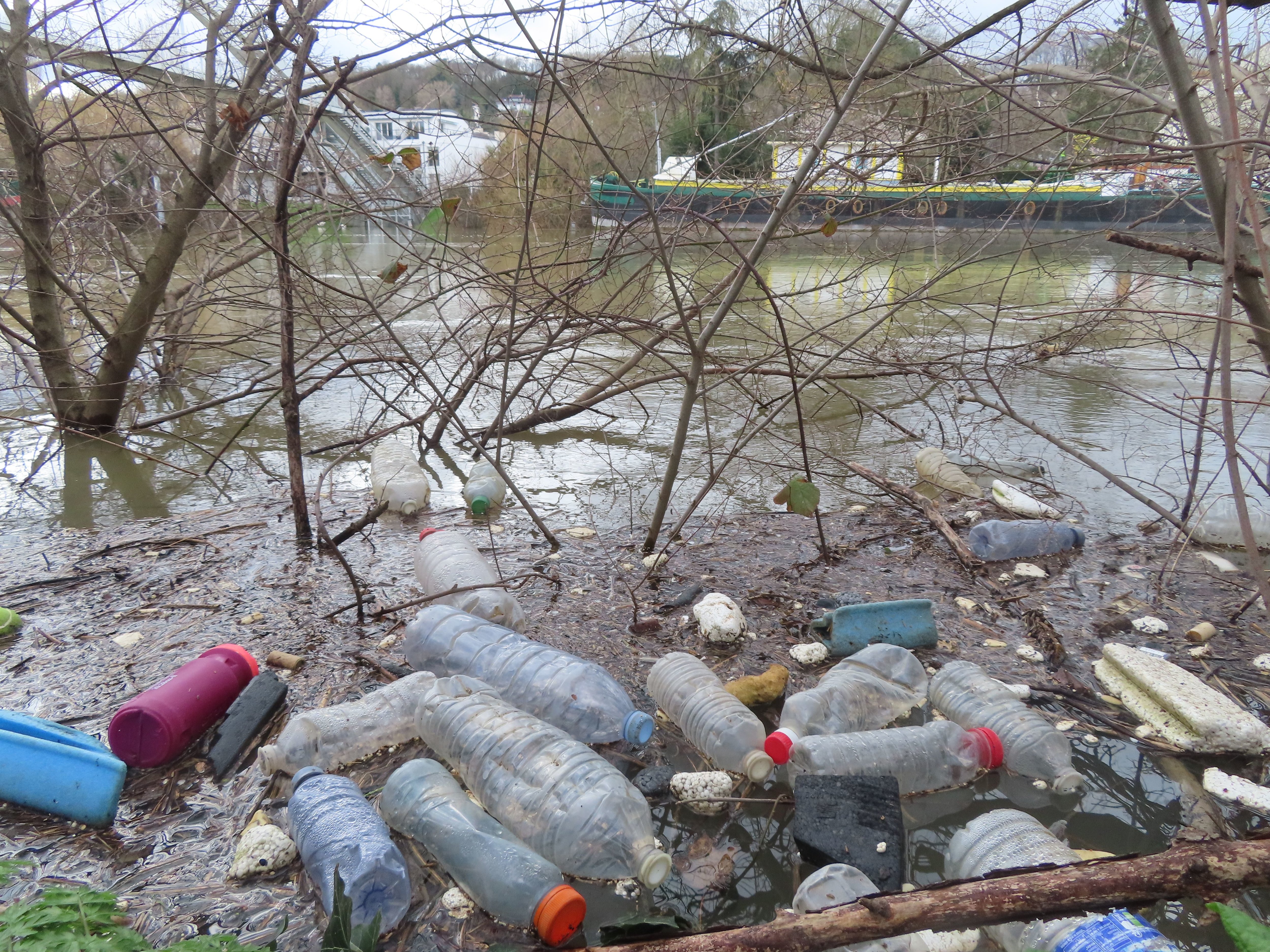 Le Port-Marly (Yvelines), ce mardi 5 mars. Les déchets plastiques s'accumulent avec la montée du niveau de la Seine. Leur prise en charge est une question épineuse. LP/Sébastien Birden