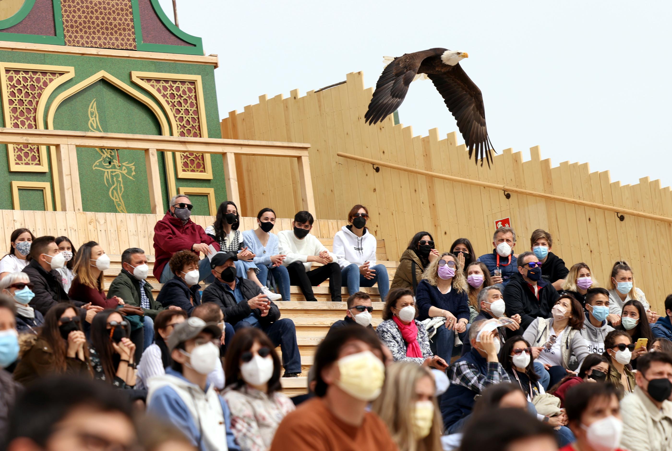 «Je n'ai jamais vu de spectacle comme ça» : le Puy du Fou de Tolède a ouvert ses portes au public