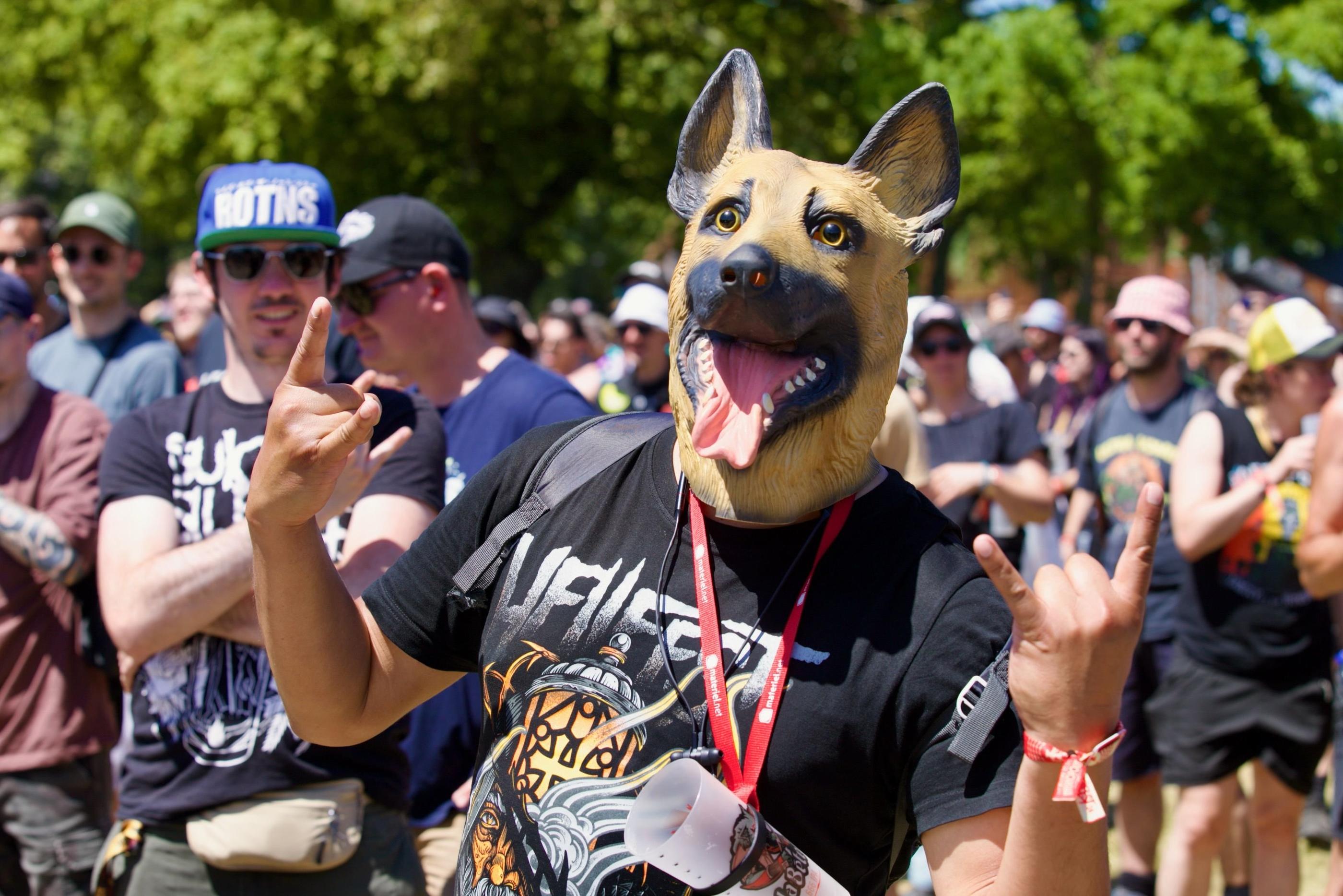 Un spectateur du Hellfest 2024 qui a du chien. Photo Dom Gilbert