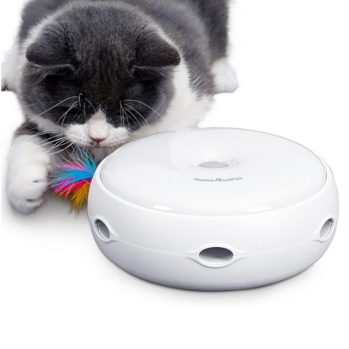 Jouets pour chats pour animaux de compagnie, Pointeur laser, Jouets pour  chats de sport d'intérieur, Jouets pour chats interactifs au laser rouge