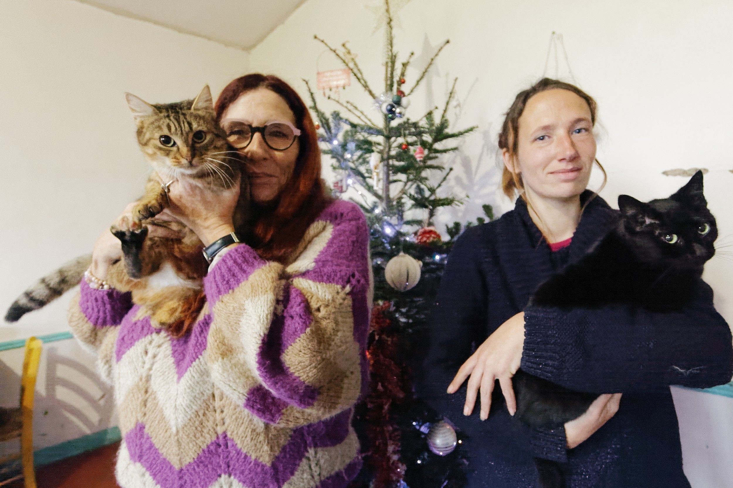 Yvanie Levée (à gauche) et Élodie Dufresne accueillent déjà 45 chats et un chien sur leur clos masure. #PRESSE30