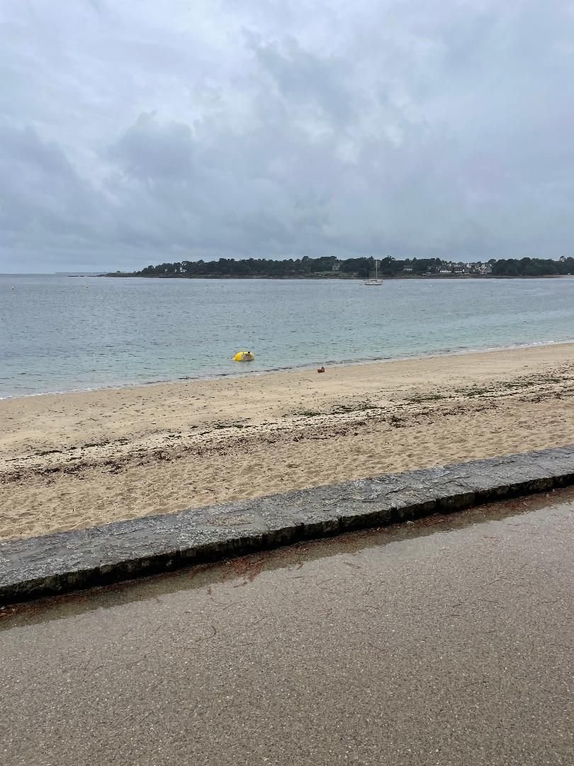 Bénoduck gisait le bec dans l'eau sur la plafge de Bénodet./LP/T.P.