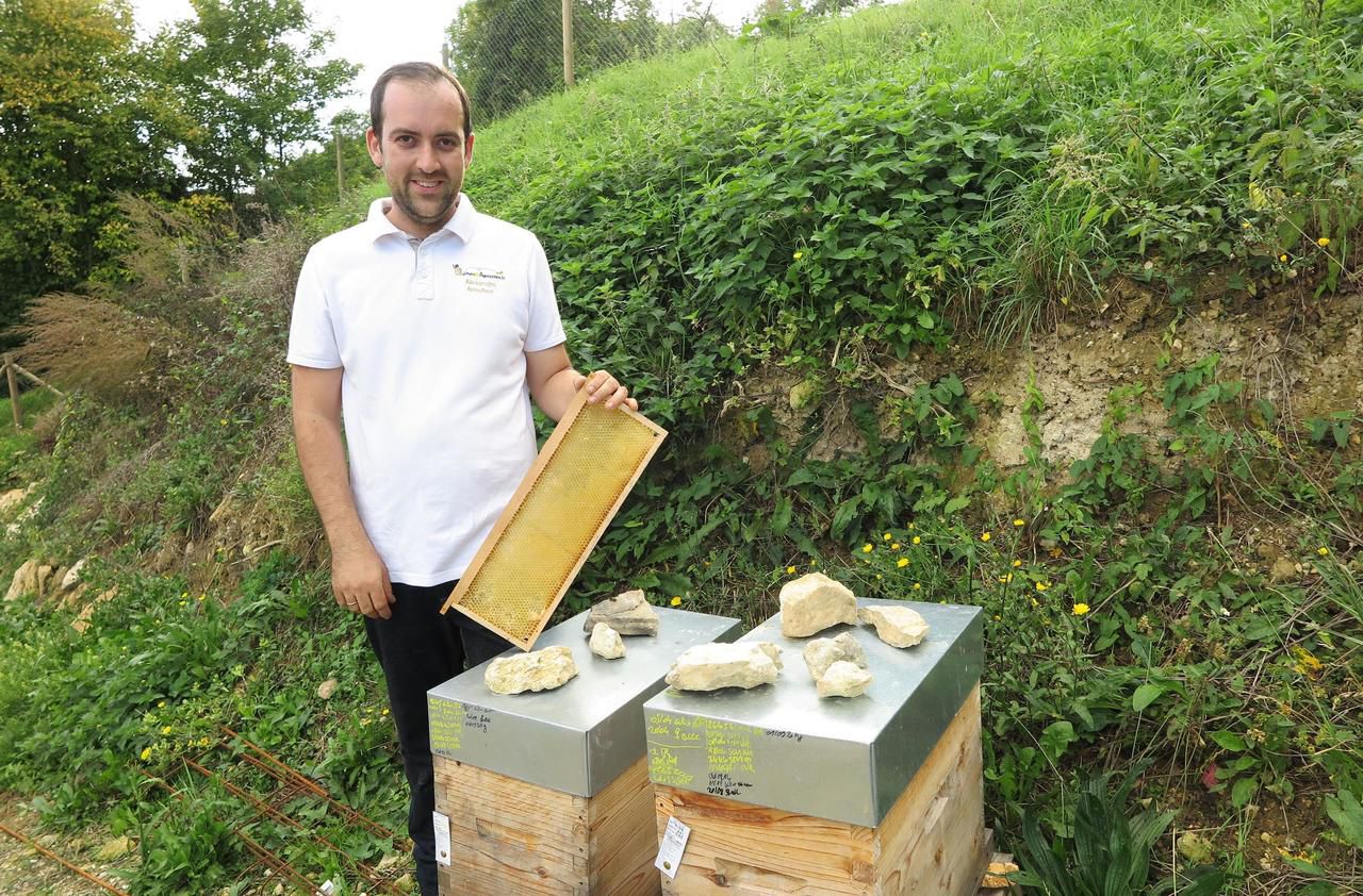 <b></b> Brueil-en-Vexin. À la tête de la société Les Ruchers d’Alexandre.fr, l’apiculteur Alexandre Valgrès a été distingué en tant que jeune entrepreneur, à l’échelle de la région. 