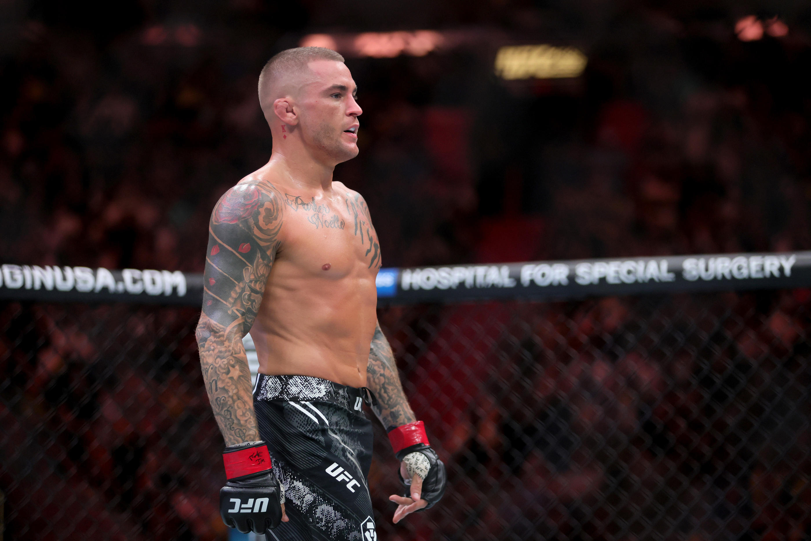 Dustin Poirier tente à nouveau sa chance pour le titre. Icon Sport