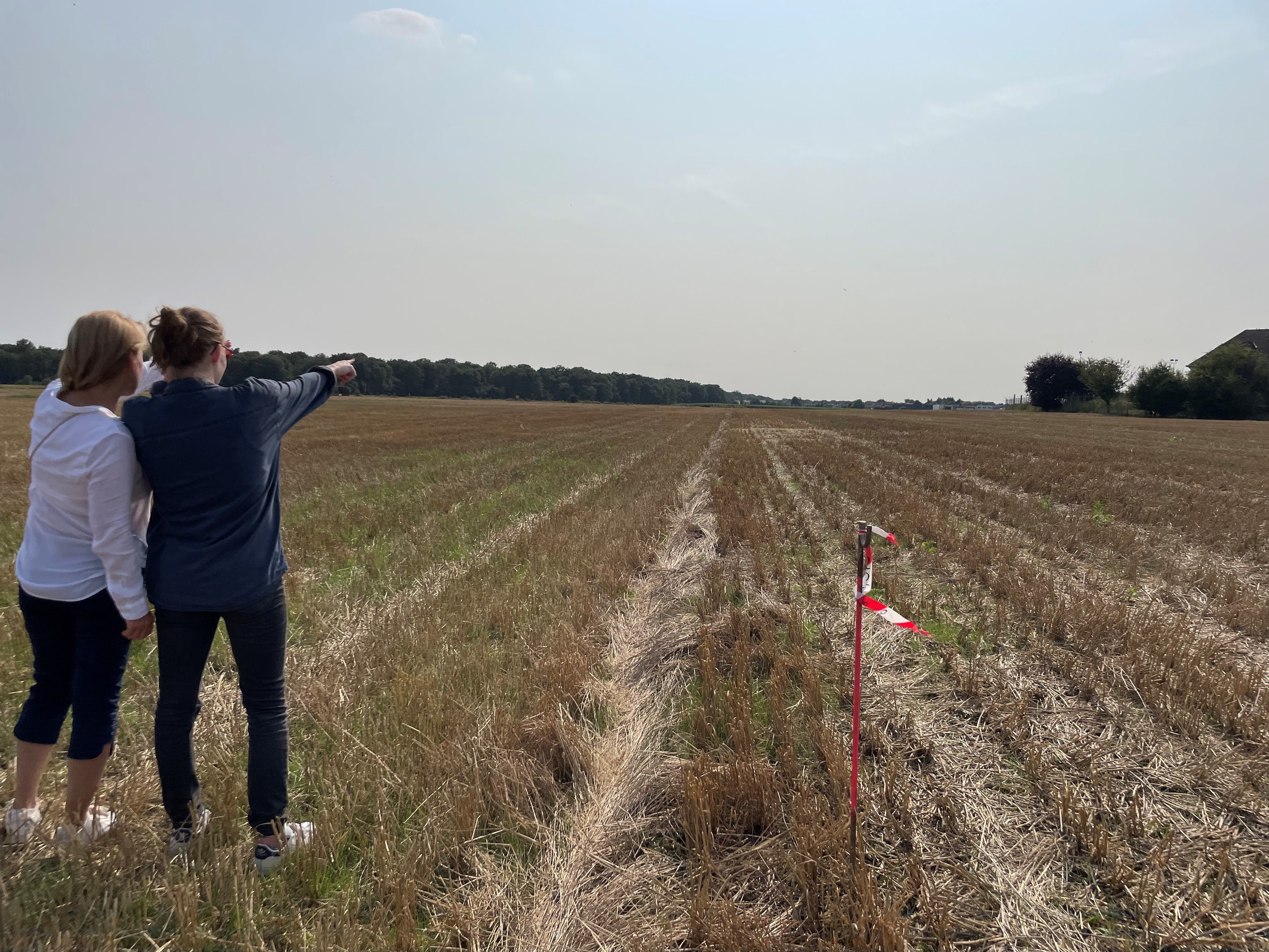 Noiseau (Val-de-Marne), lundi après-midi. La fille d'un des agriculteurs et une membre de l'association l'Aruche sont venus constater la pose de jalons avant des travaux de prospections en vue de la construction de la future prison. Au loin, on distingue la commune. LP/Sylvain Deleuze