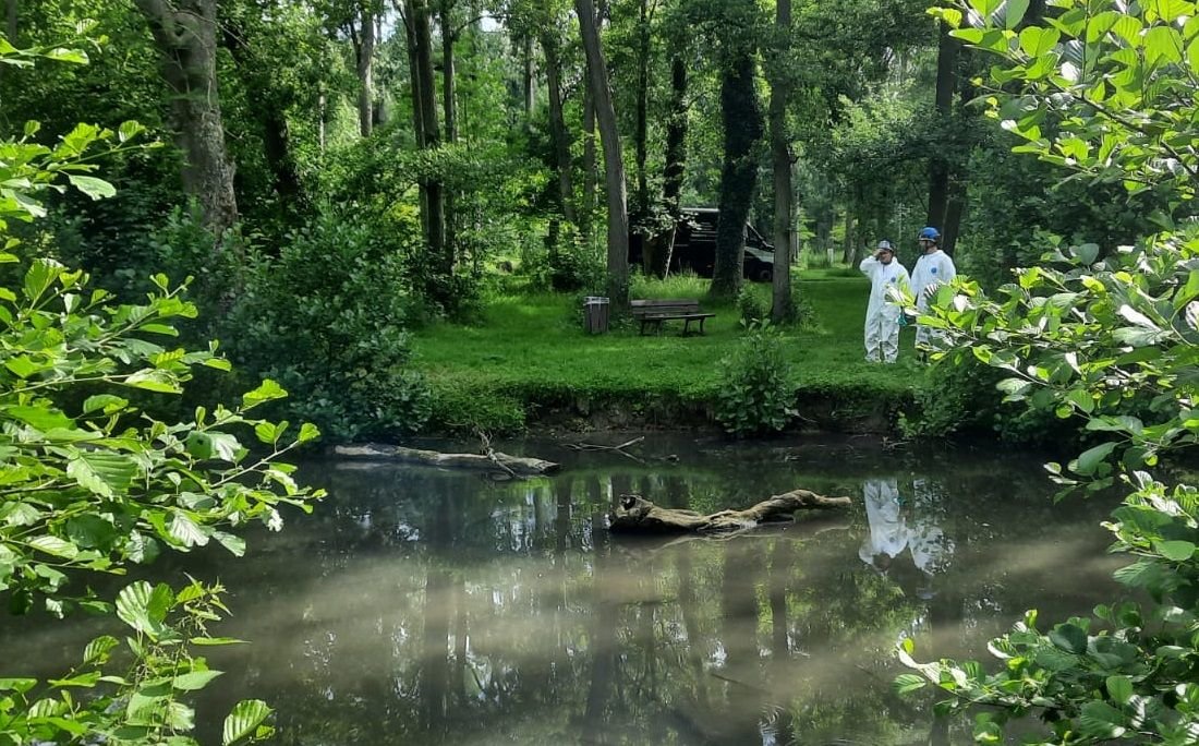 Crépy-en-Valois, parc de Géresme, ce matin. Le parc de Géresme a fermé suite à une pollution de son étang au fuel. Il devrait rouvrir vendredi au plus tôt.  DR/Ville de Crépy-en-Valois