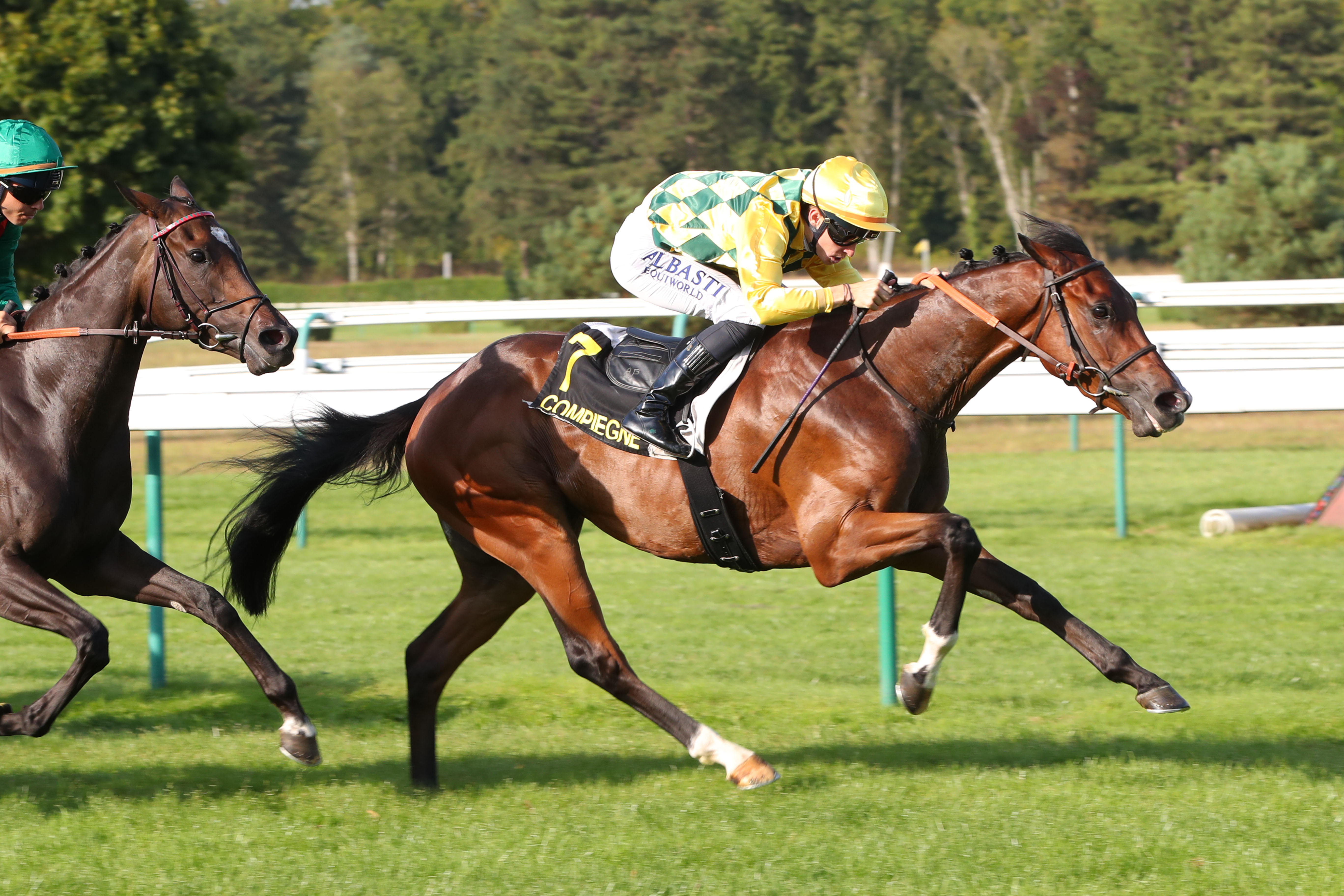 Compiègne (Oise), le 28 Août 2024. O'Wood domine sûrement ses adversaires et remporte le premier quinté de sa carrière. SCOOPDYGA - CHOURAQUI Elliott