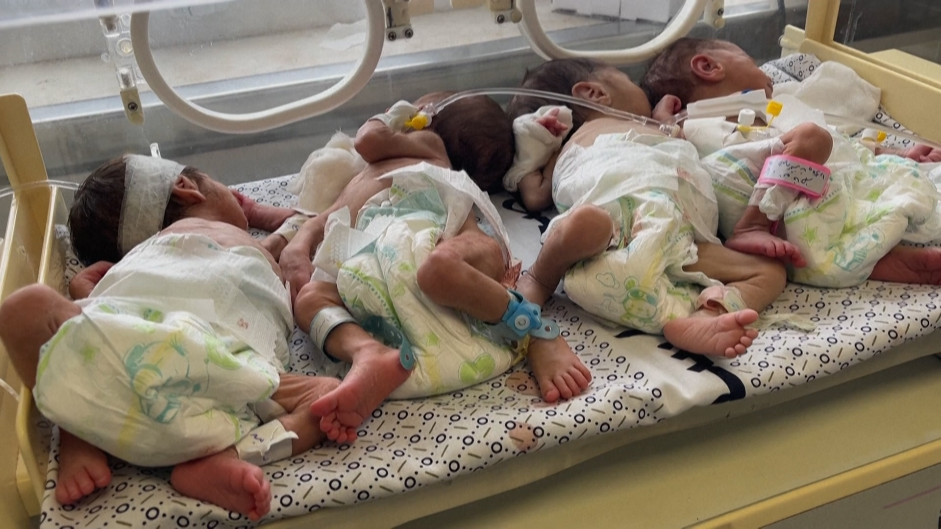 29 bébés prématurés ont été évacués de l'hôpital Al-Shifa de Gaza, vers l'Égypte.