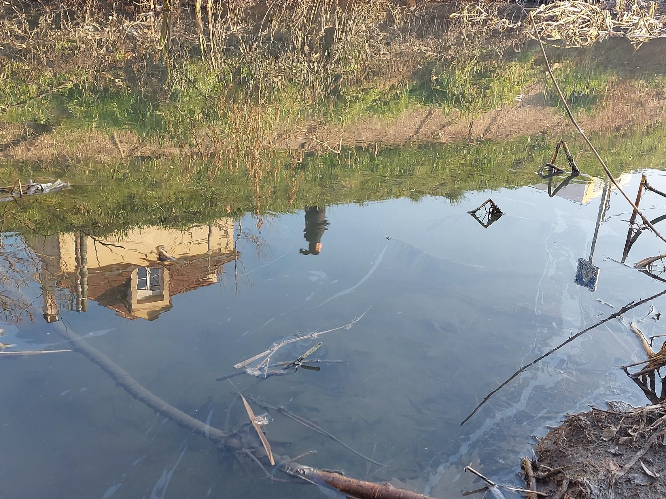 L'Hay-les-Roses, jeudi 2 mars 2023. Des irisations restent visibles en surface, au lendemain des interventions menées après un début de pollution aux hydrocarbures. LP/Gérald Moruzzi