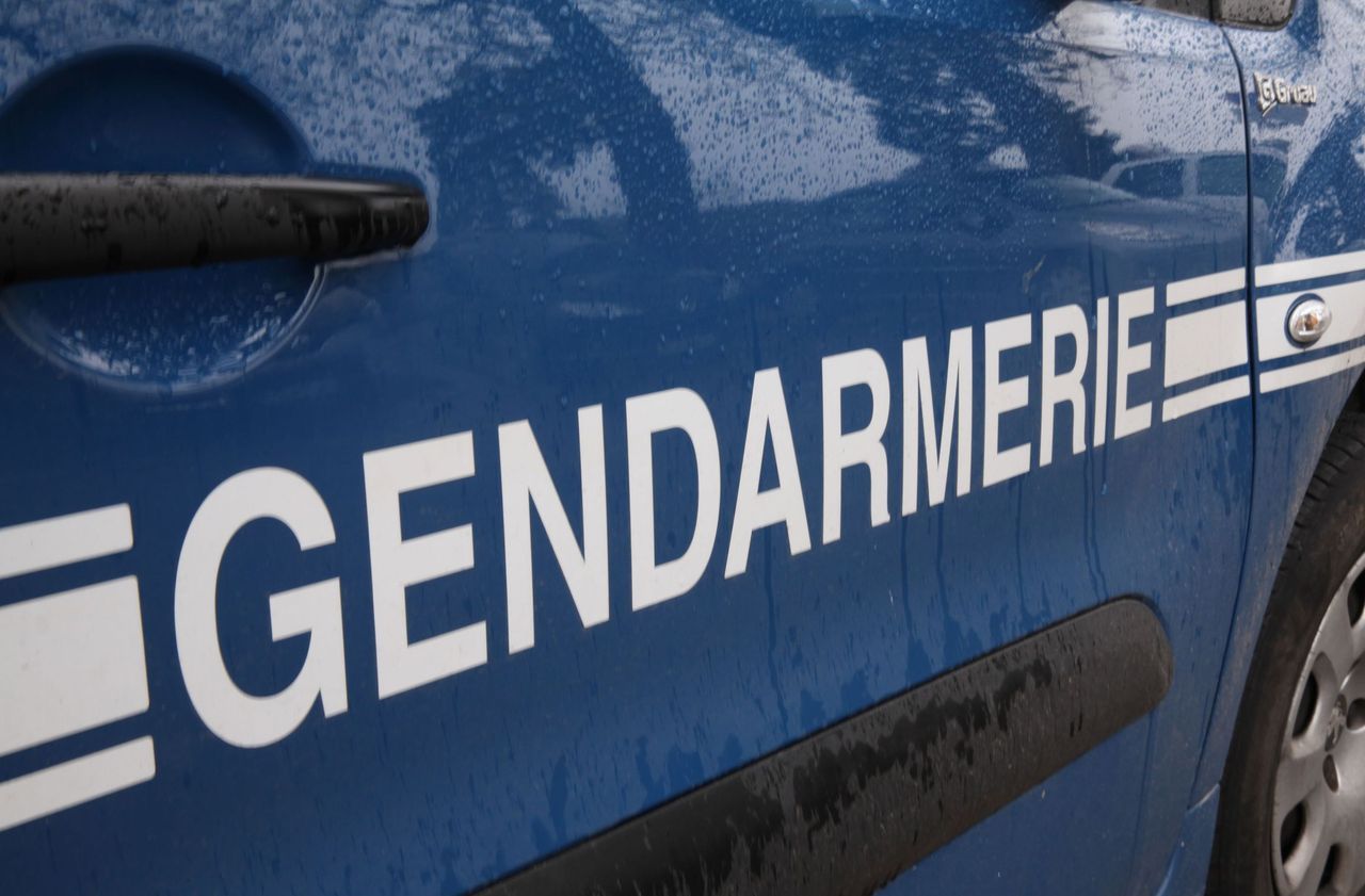 Le prévenu a violemment frappé les gendarmes, dont l'un a eu une double fracture de la mâchoire, une arcade ouverte et 45 jours d’ITT. (Illustration) Photo Le Parisien