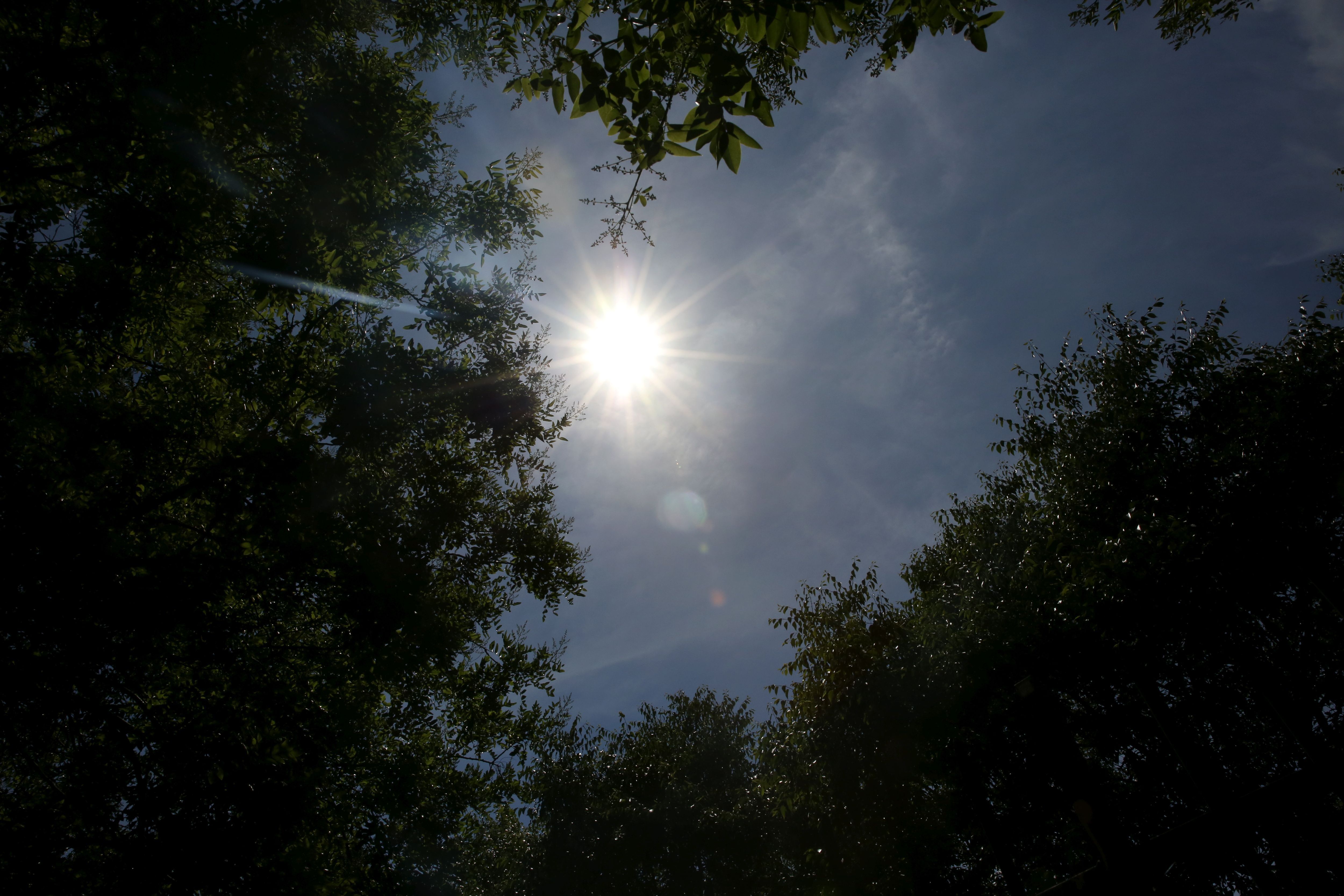 Conditions très inhabituelles en plein été ! - Actualités météo