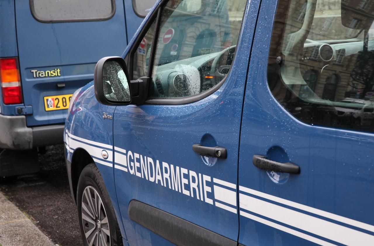 <p>L&rsquo;auteur pr&eacute;sum&eacute; a &eacute;t&eacute; interpell&eacute; par la police puis remis aux gendarmes de Grandvilliers. (Illustration)</p>