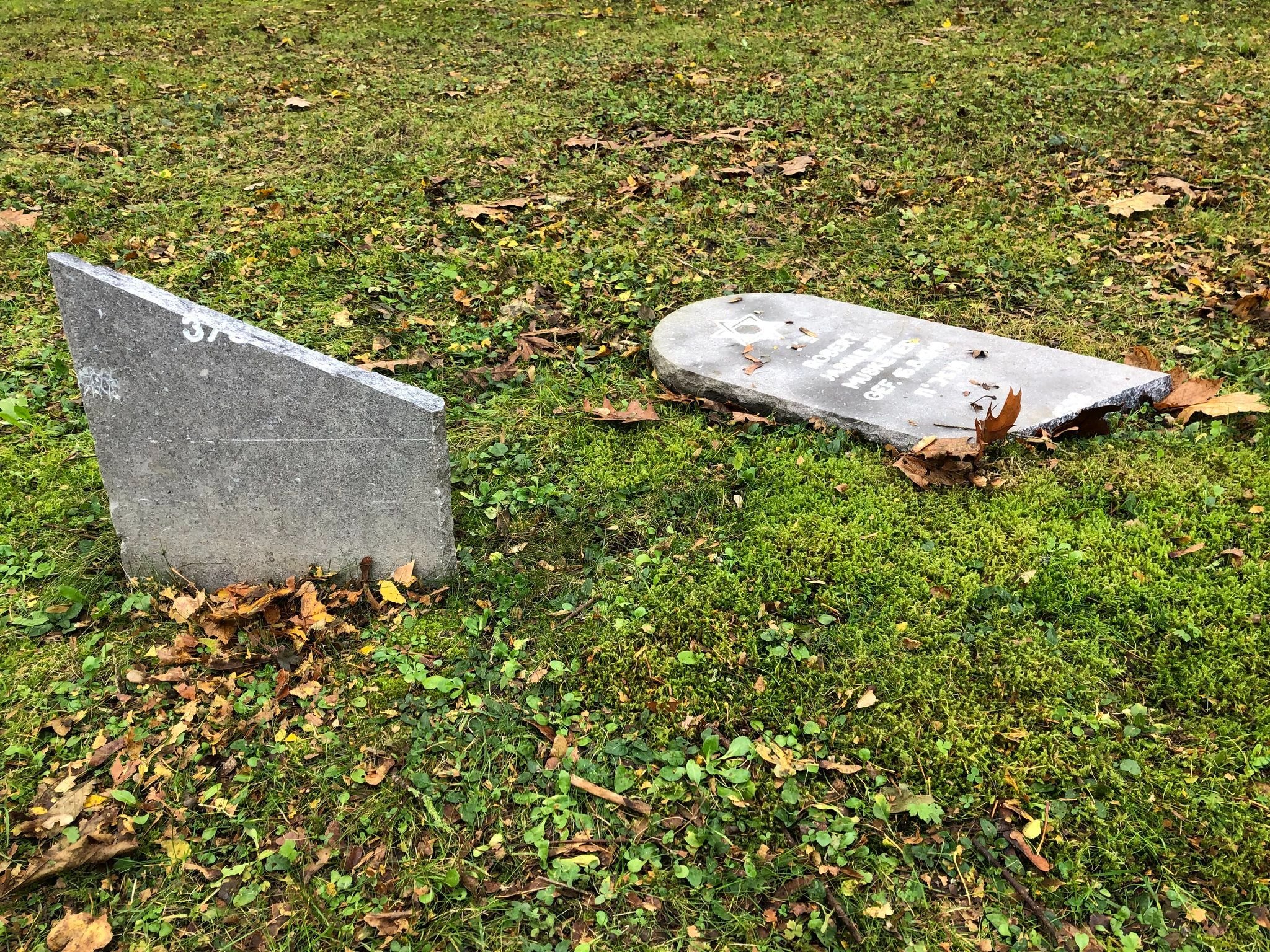 Ce mercredi, dix stèles juives ont été découvertes dégradées au sein de ce site de la Première-Guerre mondiale implanté sur la commune de Moulin-sous-Touvent. DR