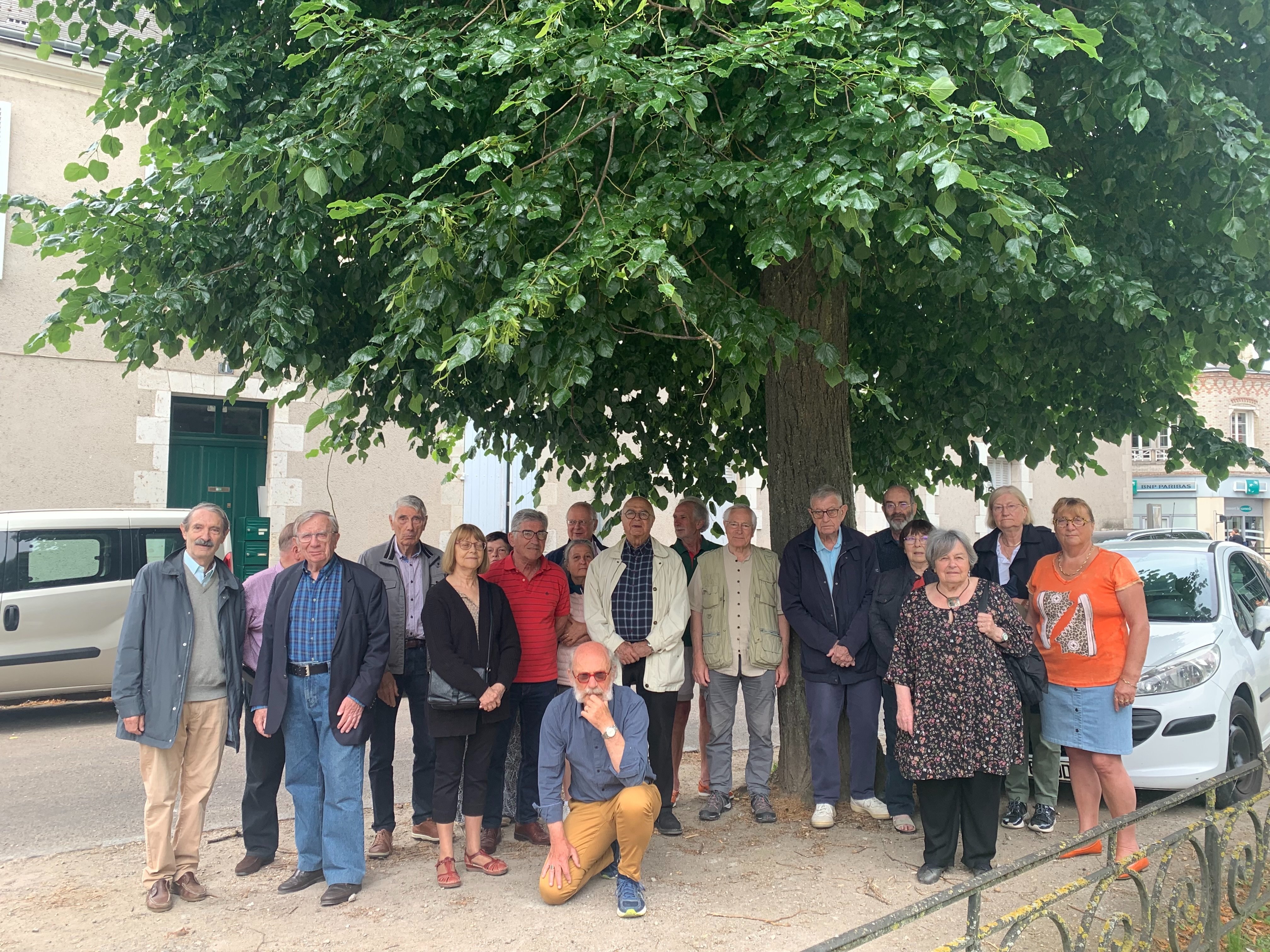 A Orléans, les riverains du quartier Saint-Marceau se mobilisent pour sauver des tilleuls centenaires de l'abattage./ DR
