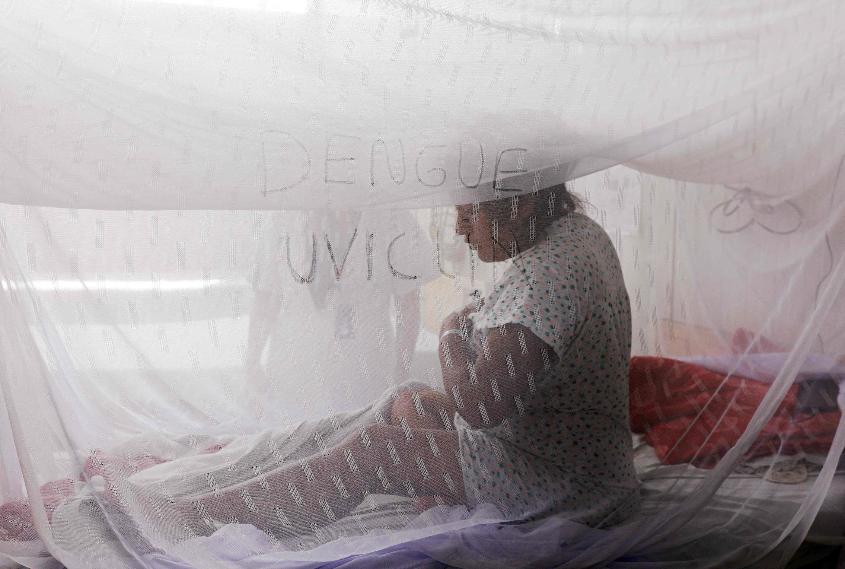 L'Amérique latine et les Antilles traversent une épidémie de dengue particulièrement violente. AFP/Juan Carlos CISNEROS