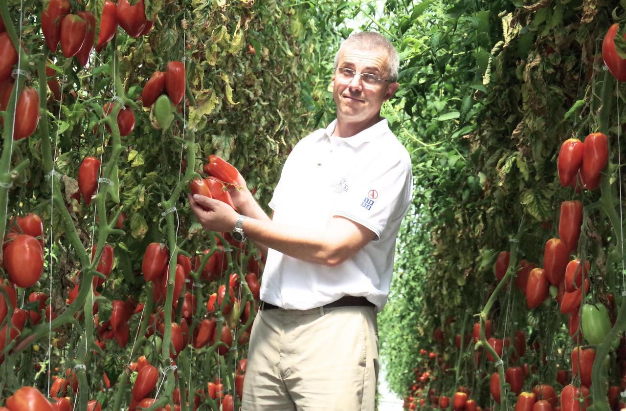<b></b> Crépy-en-Valois, jeudi. Cédric Thomassin, agriculteur, a lancé sa marque Le jardin des pommes d’amour il y a 2 ans.
