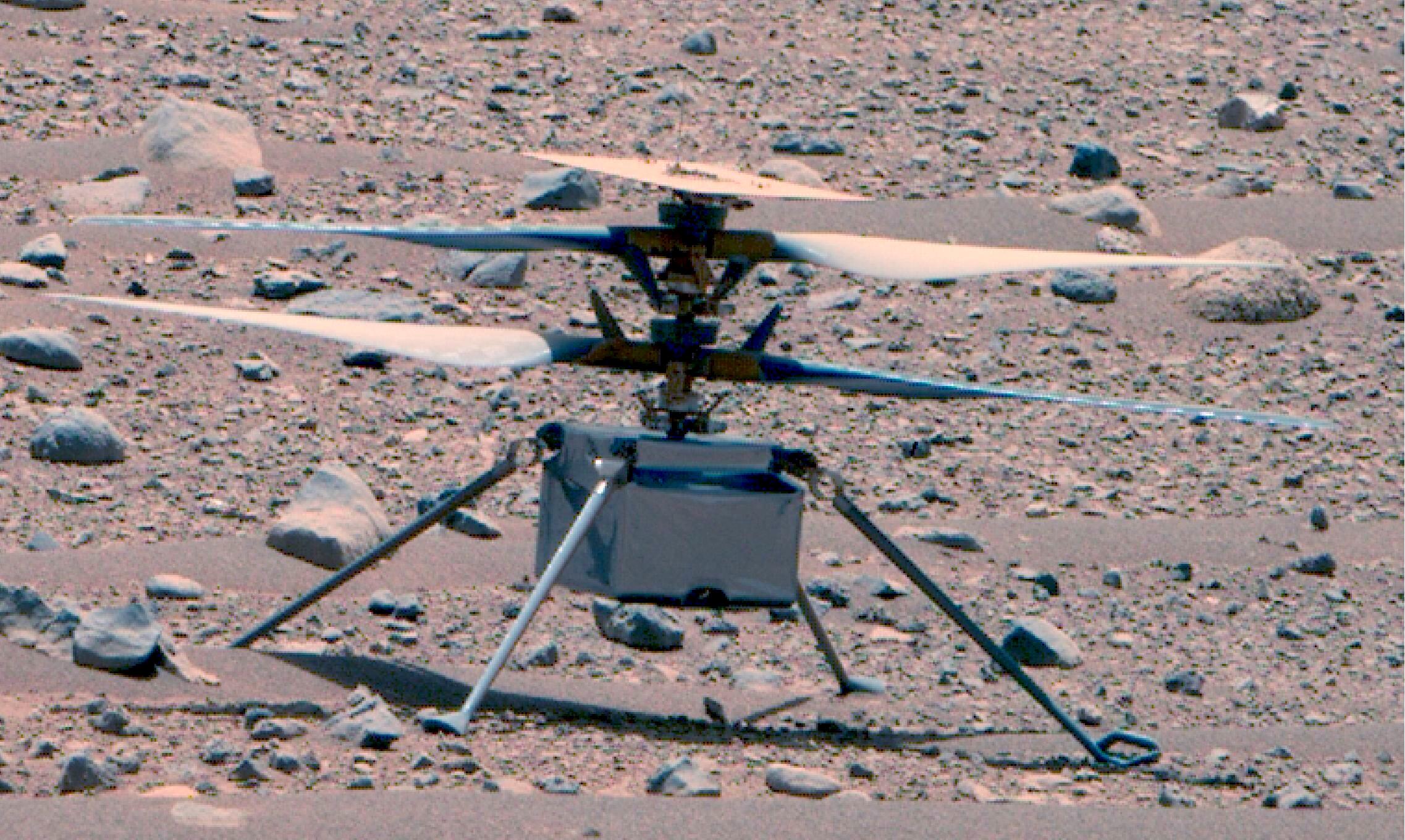 Une rare image d'Ingenuity, capturée le 16 avril par le robot martien Perseverance. NASA/JPL-Caltech/ASU/MSSS via CNP