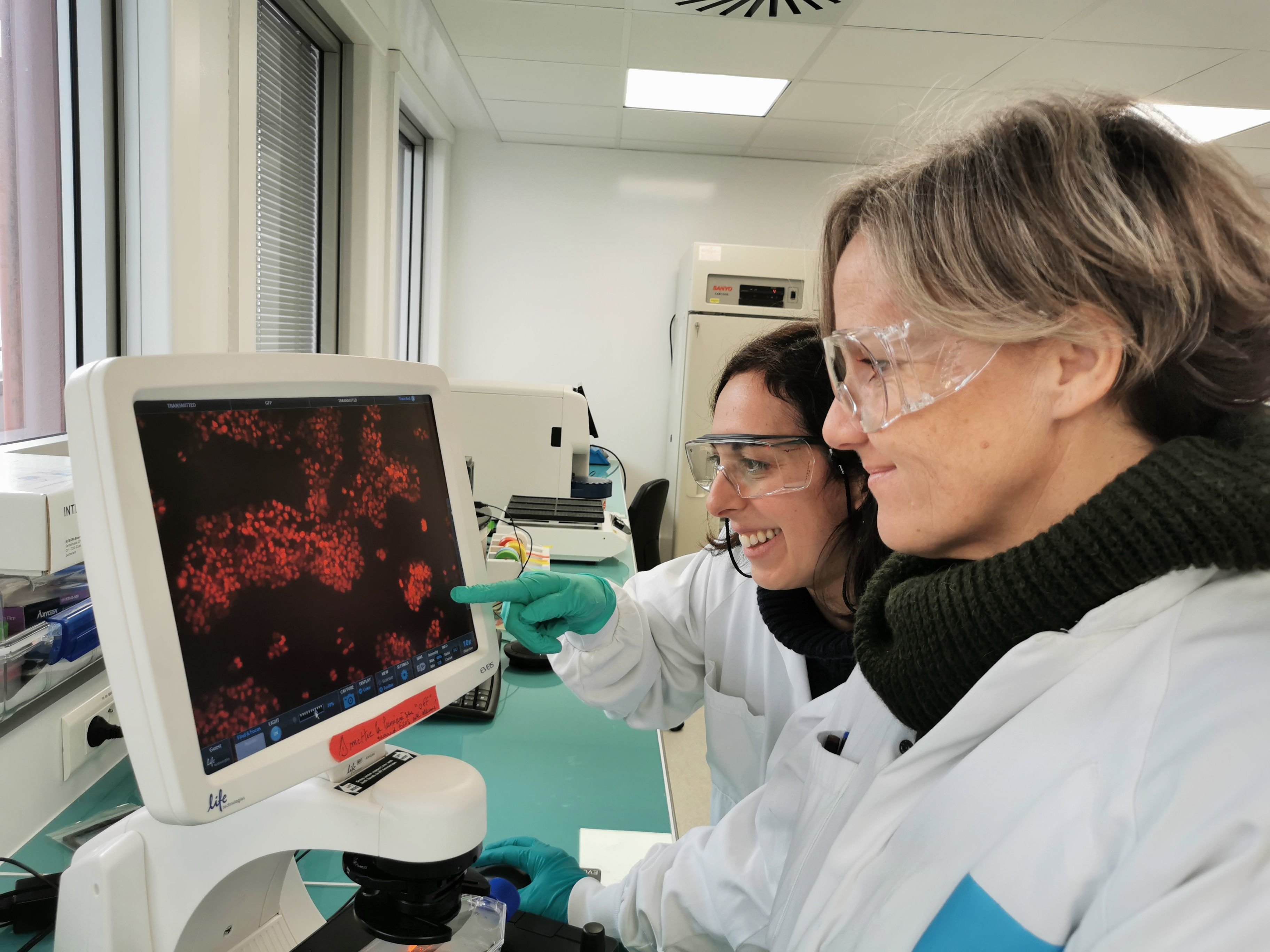 Vitry-sur-Seine (Val-de-Marne), le 30 janvier 2023. Deux chercheuses de Sanofi, sur la site de R&D dédié à l’oncologie, échangent sur une image de cellule tumorale. Sanofi