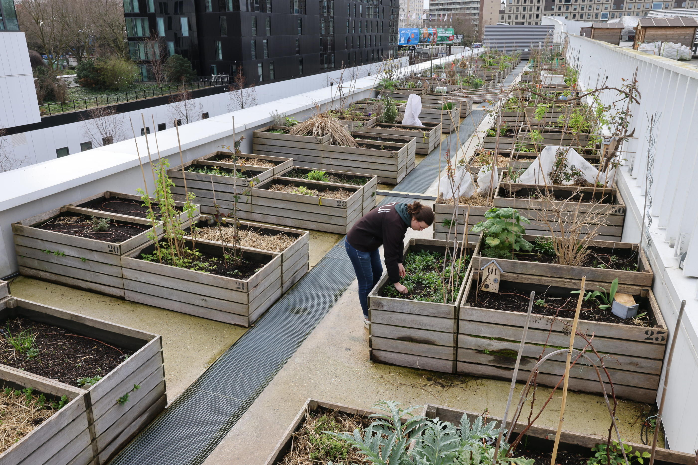 Pour la chercheuse, l'agriculture urbaine « demande beaucoup d’investissement et c’est aussi extrêmement coûteux en énergie ». Ici la ferme urbaine installée sur le toit du hall 6 du parc des expositions (Paris, XVe). LP/Olivier Lejeune