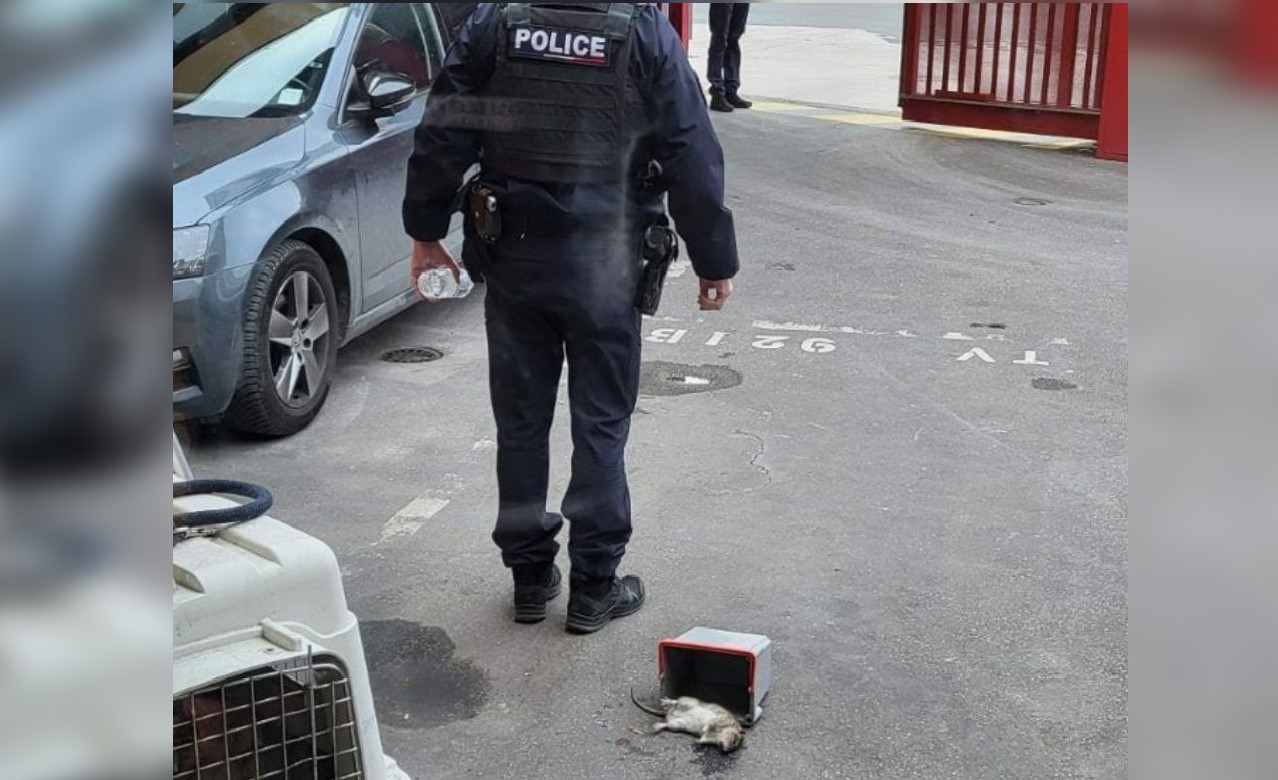 Au commissariat de Choisy-le-Roi (Val-de-Marne), les policiers piègent quotidiennement rats et souris qui pullulent dans les locaux vétustes. DR