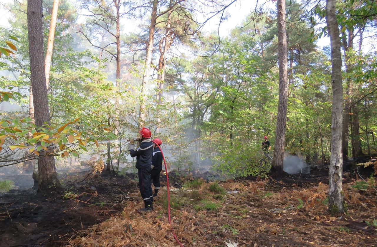 <b></b> Fontainebleau, mardi 16 octobre. Au pied de la tour Denecourt, les soldats du feu ont noyé le sol pour éviter que l’incendie ne reprenne en passant à travers la tourbe.