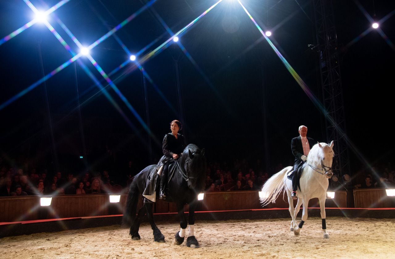 Le cirque Gruss à l'heure du Covid-19 : «On est ici jusqu'au 28 février... ou jusqu'à demain»