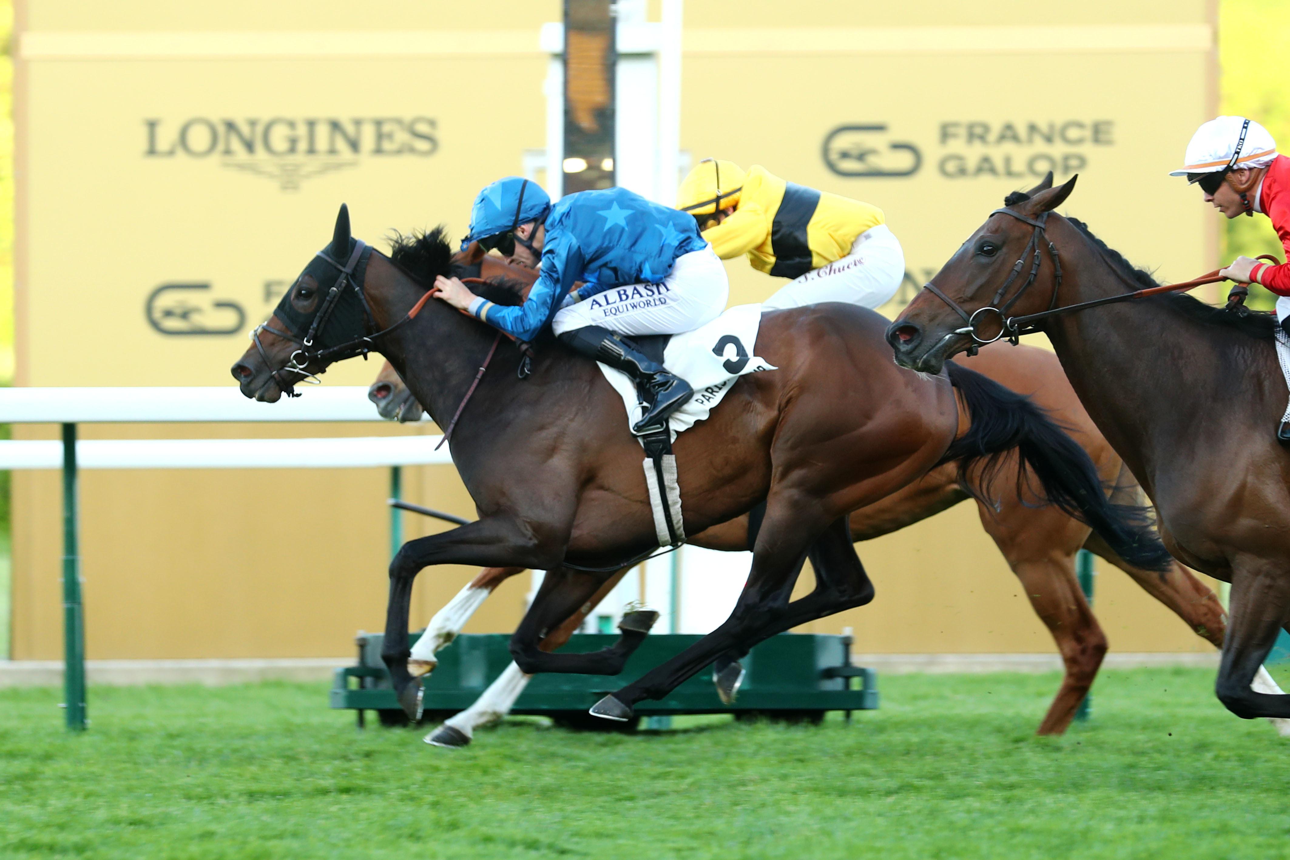 ParisLongchamp (XVIe), le jeudi 16 Mai 2024. Rika de la Vis double la mise dans les handicaps et brille pour la première fois dans les quintés. SCOOPDYGA - LABROSSE Brad