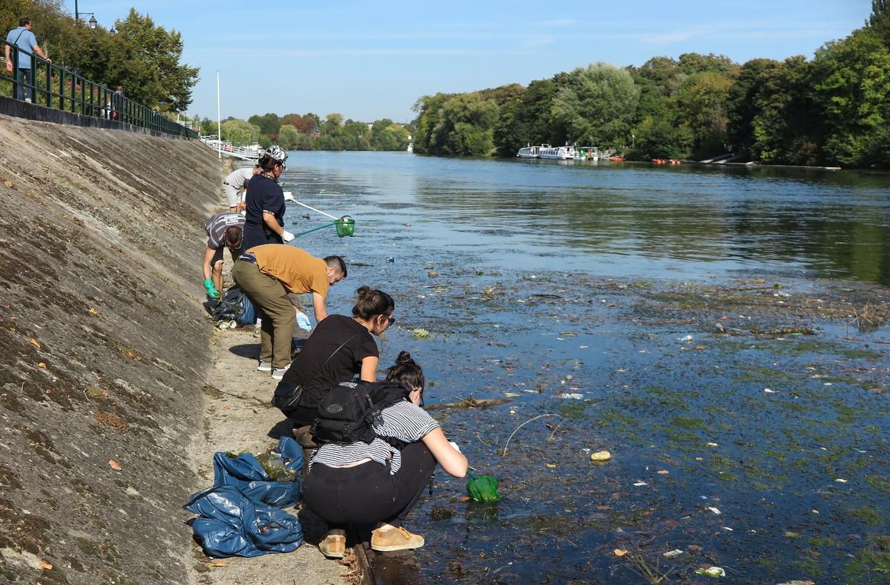 <b></b> Andrésy. L’association locale Le cri de la terre a organisé ce dimanche un nettoyage citoyen des berges de Seine. 