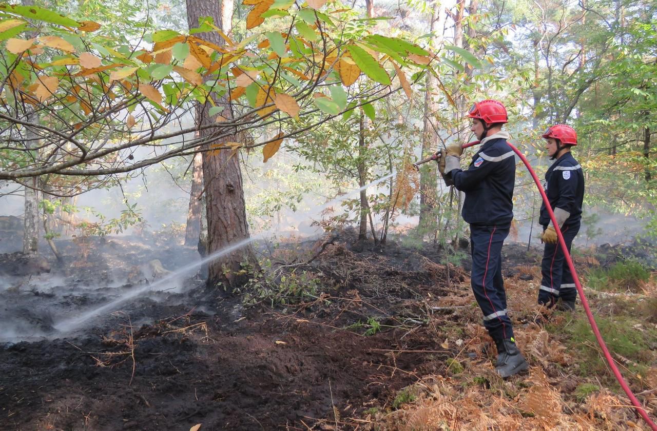 <b></b> Fontainebleau, mardi midi. Les soldats du feu ont passé la journée à noyer le feu au cœur du massif forestier. LP/Sylvain Deleuze.