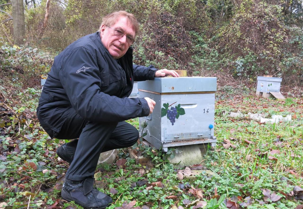 <b></b> Daniel Boubel, apiculteur de Louveciennes, s’occupe des ruches installées au jardin de Gally.