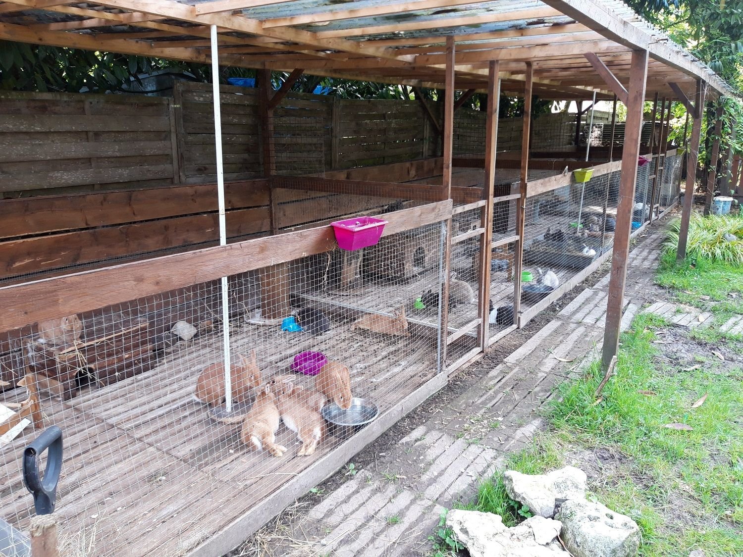 A Méréville (Essonne), l'Arche de Bagheera accueille de nouveaux animaux de compagnie en tout genre. Créé pour des rats, les pensionnaires de ce refuge sont surtout des lapins. /Arche de Bagheera