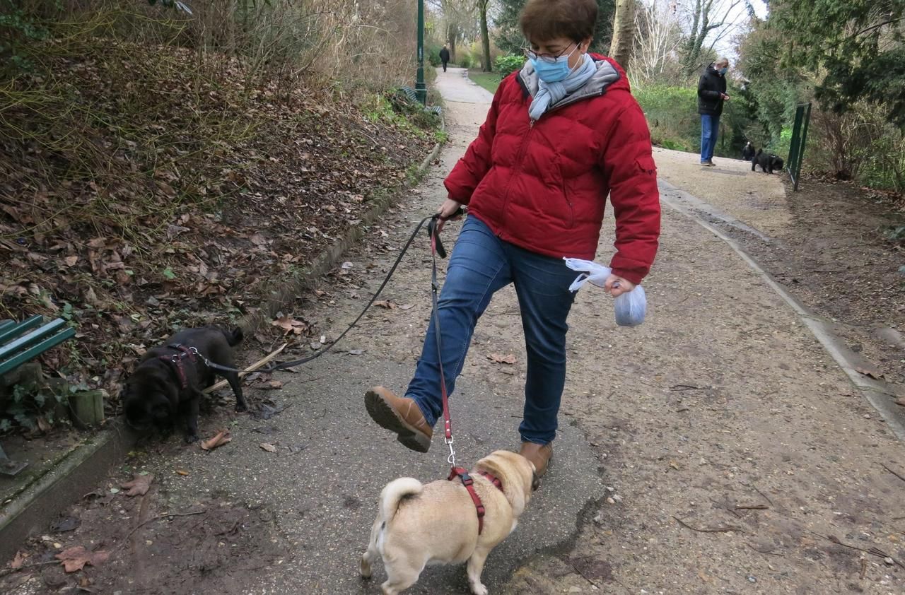 Une punition collective» : l'interdiction des chiens dans deux squares à  Paris agace les propriétaires - Le Parisien